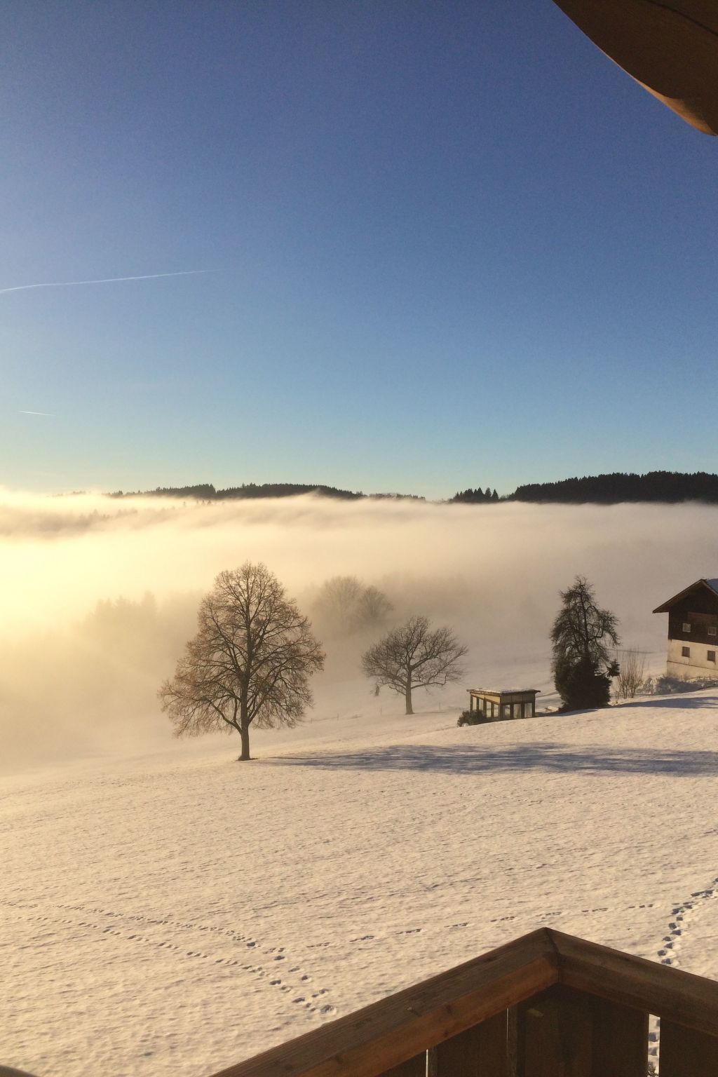 Im Bayerischen Wald inkl. aktivCard-Binnen