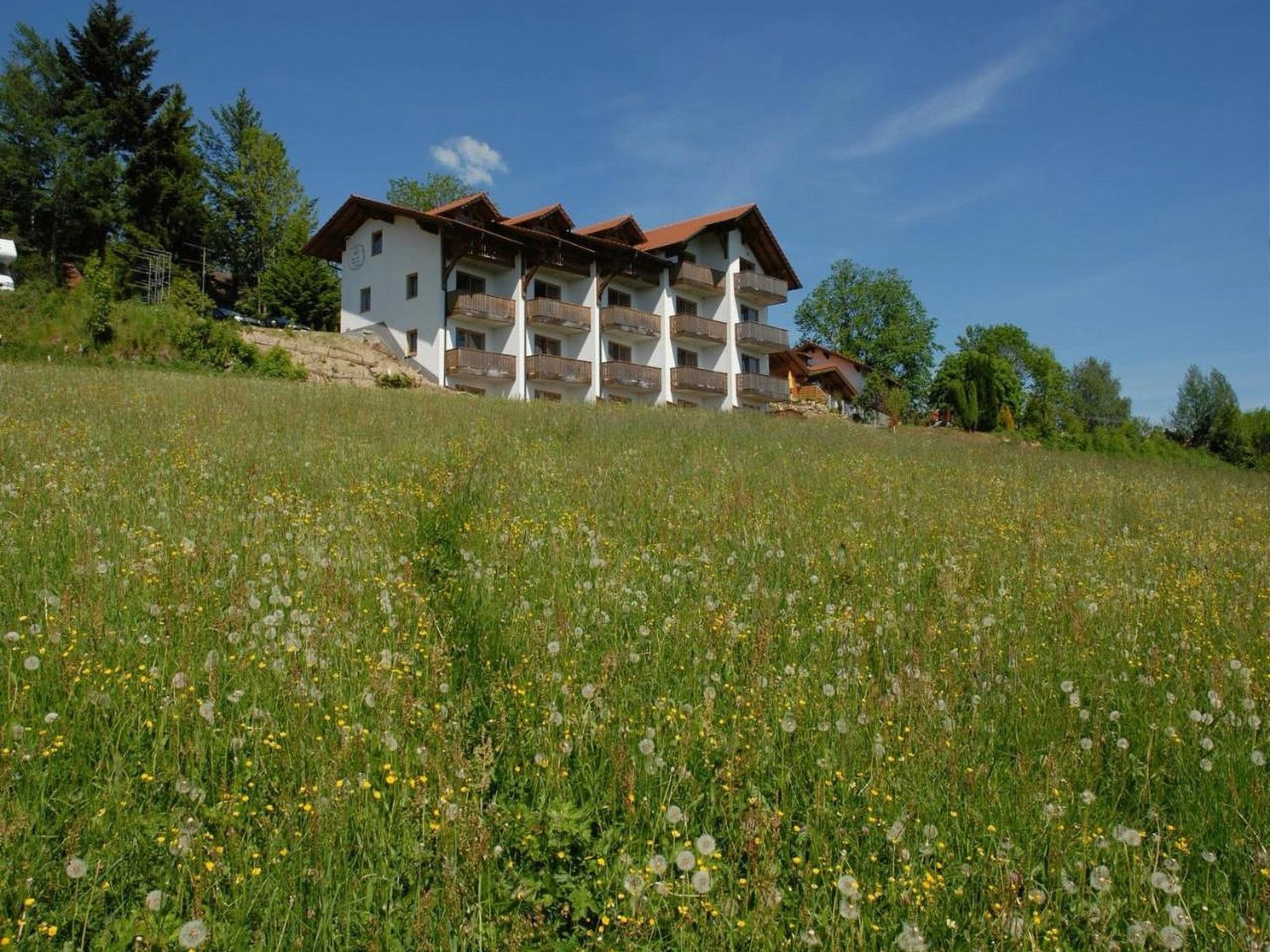 Im Bayerischen Wald inkl. aktivCard-Binnen