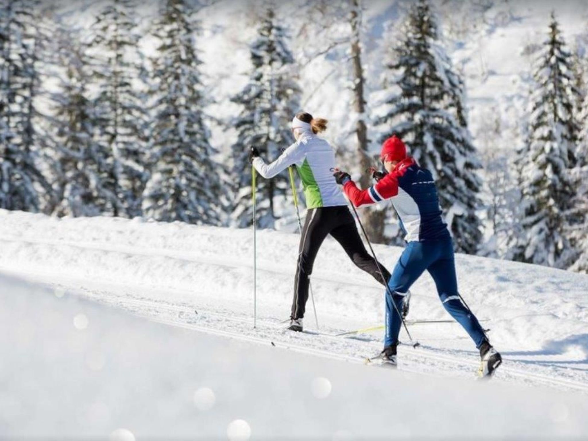 Bayernwald Apartment-Binnen