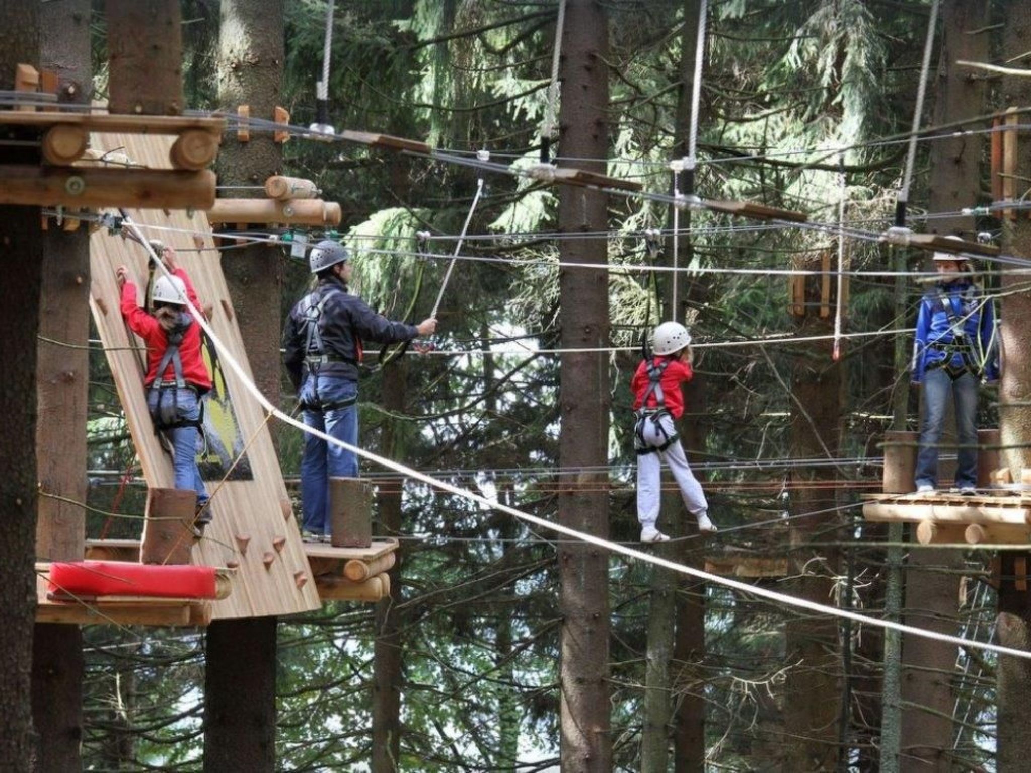 Bayernwald Apartment-Binnen