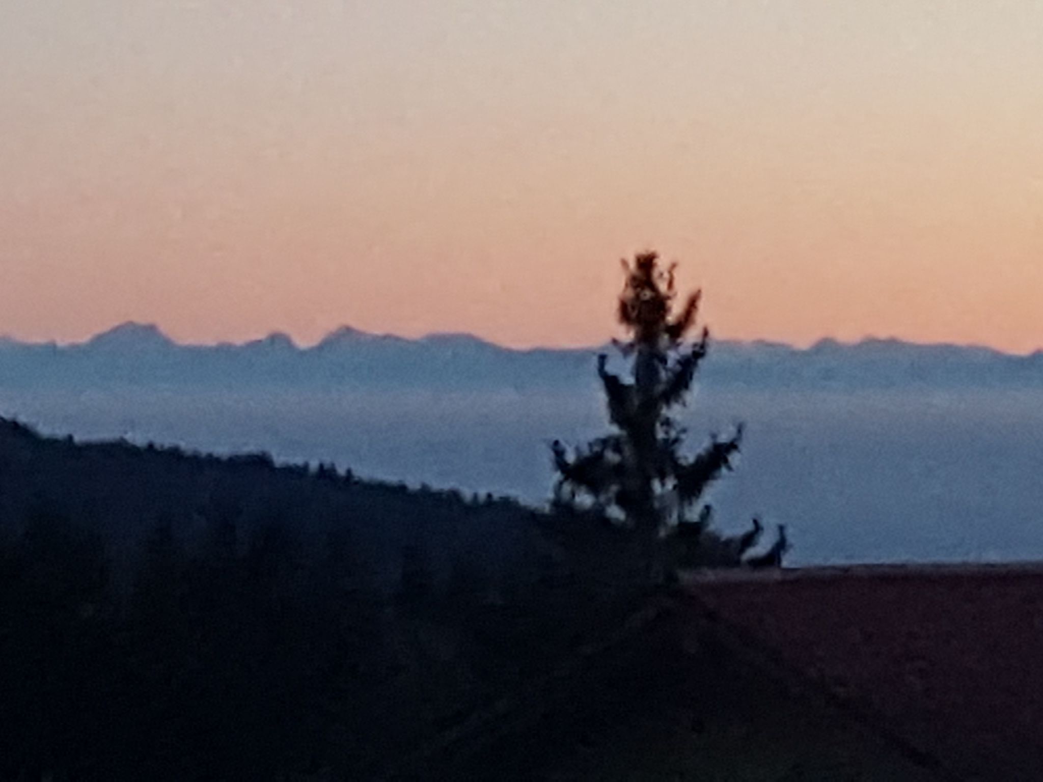 Bayernwald Idyll-Binnen