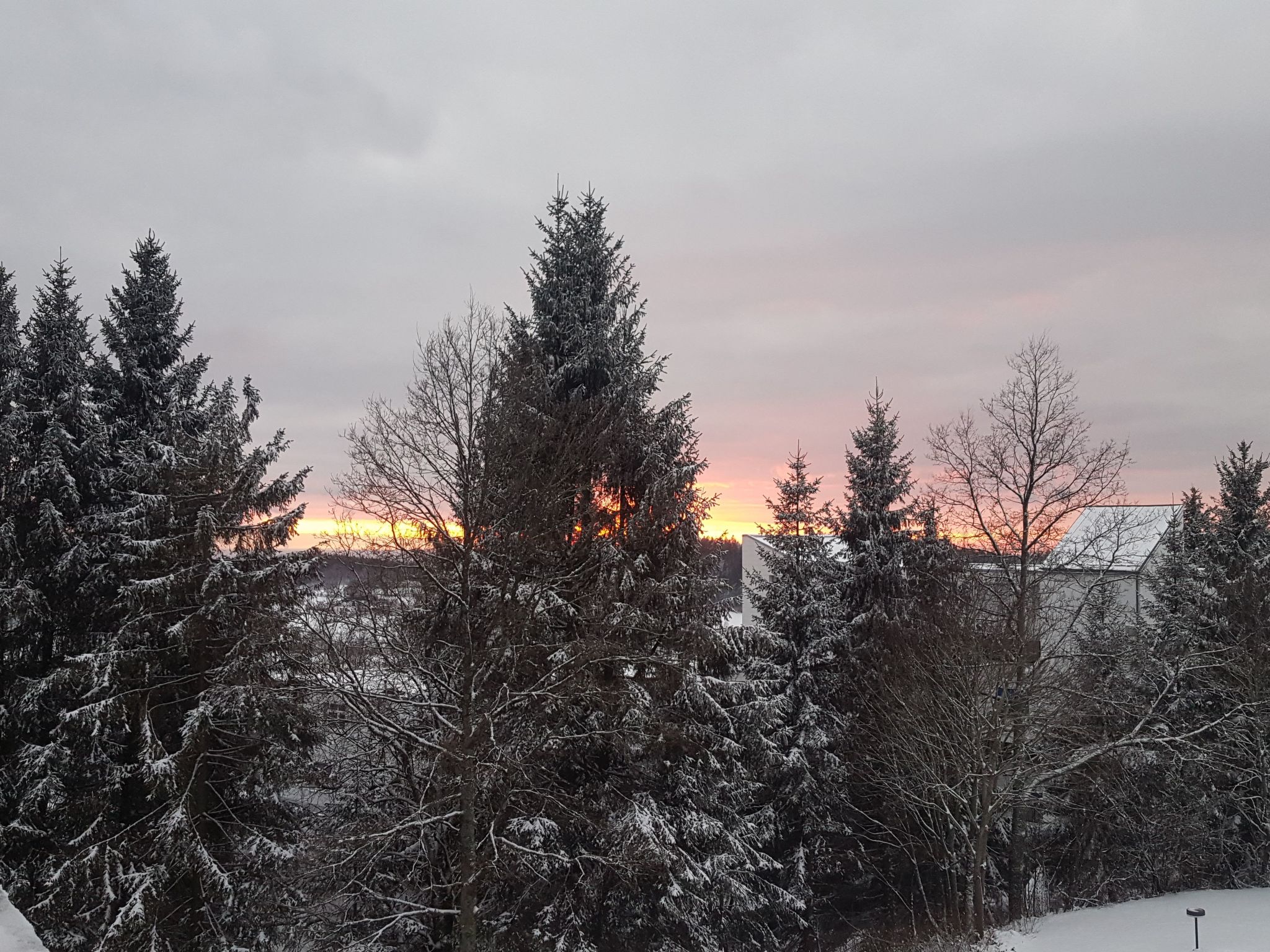 Bayernwald Idyll-Binnen