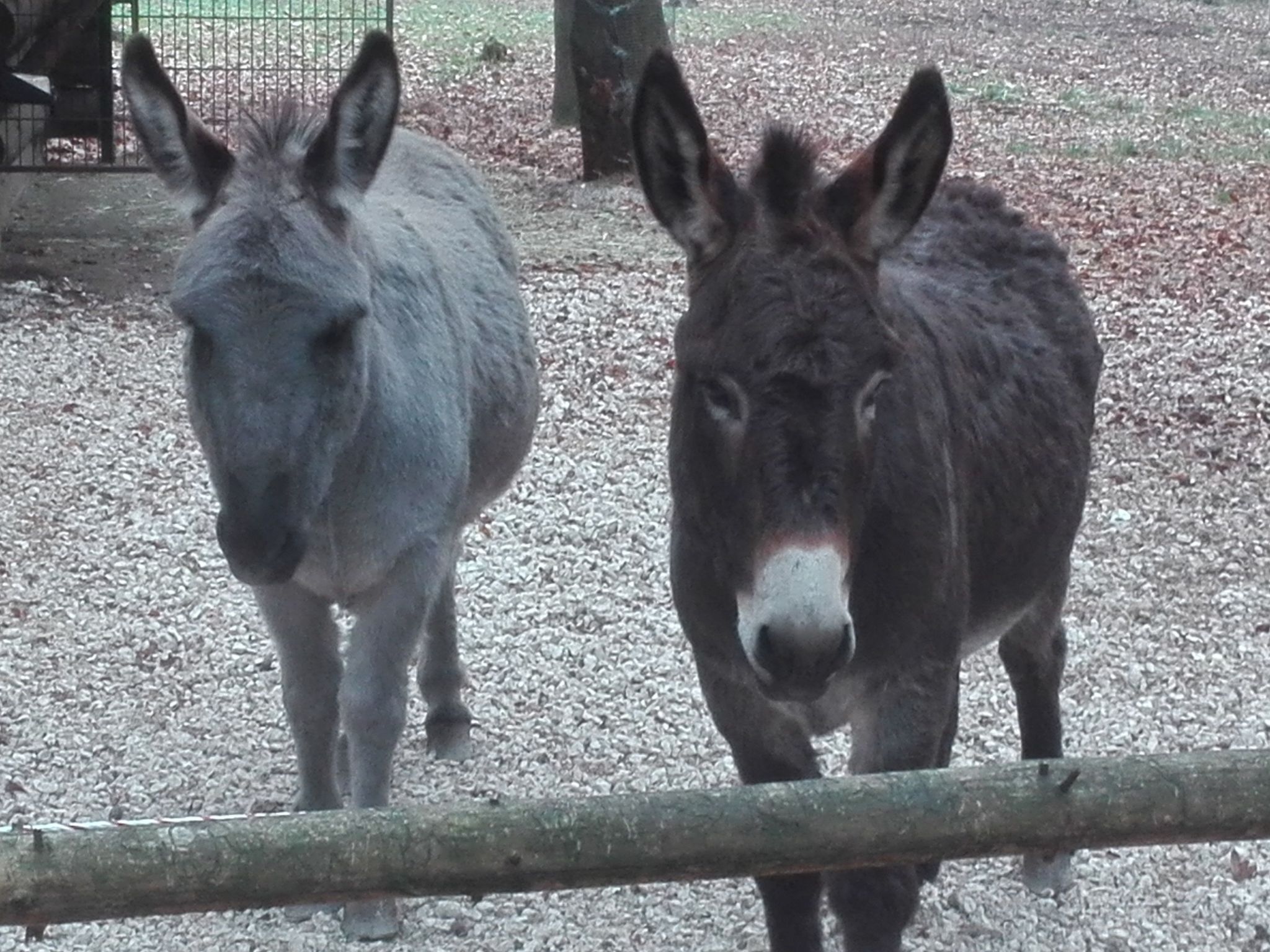 FeWo Stodlwerk-Dedans