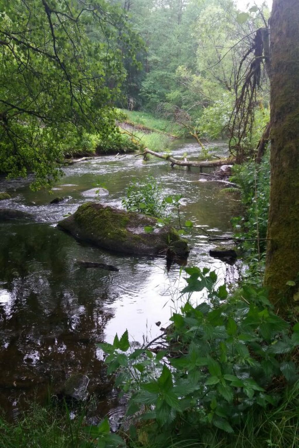 FeWo Stodlwerk-Dedans