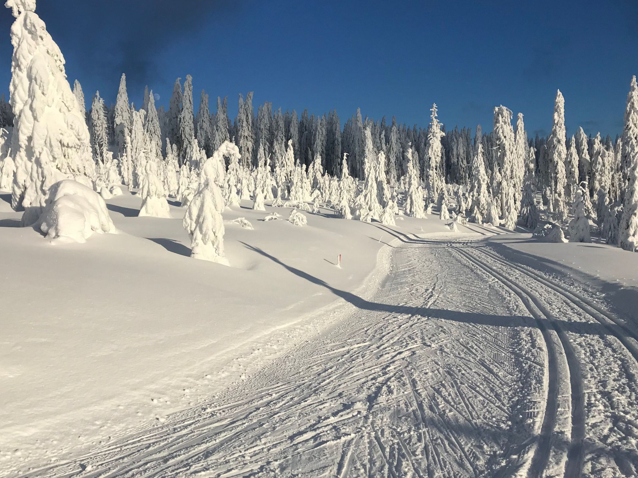 2 Pers. inkl. Aqacur in Bad Kötzting-Image-tags.info