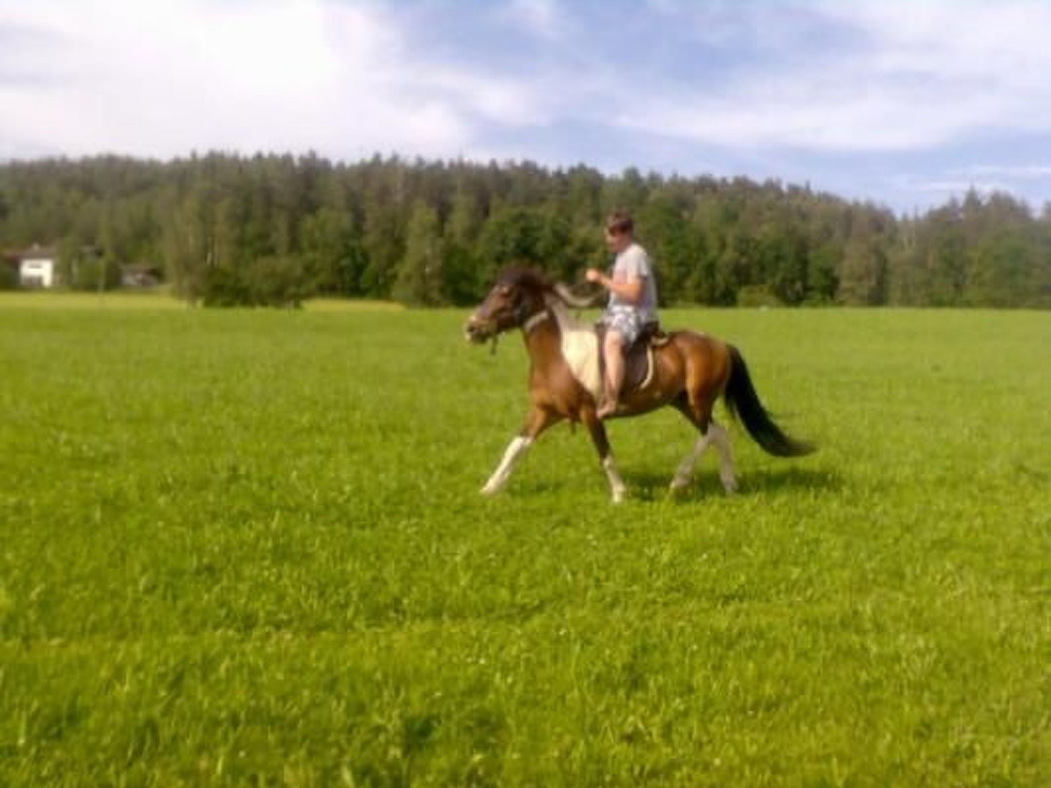 Wohnung in Bad Kötzting-Image-tags.info