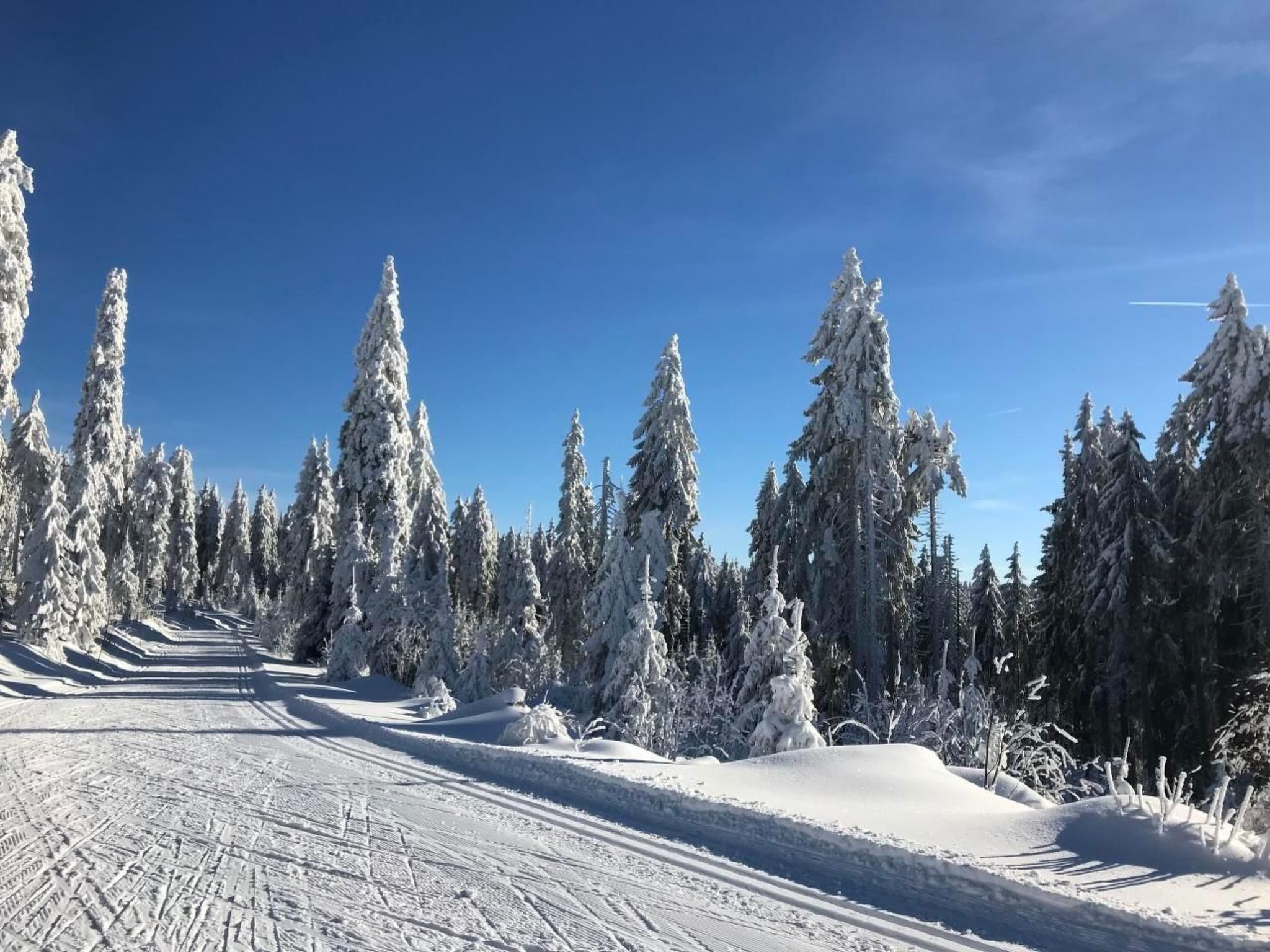 Wohnung in Bad Kötzting-Image-tags.info