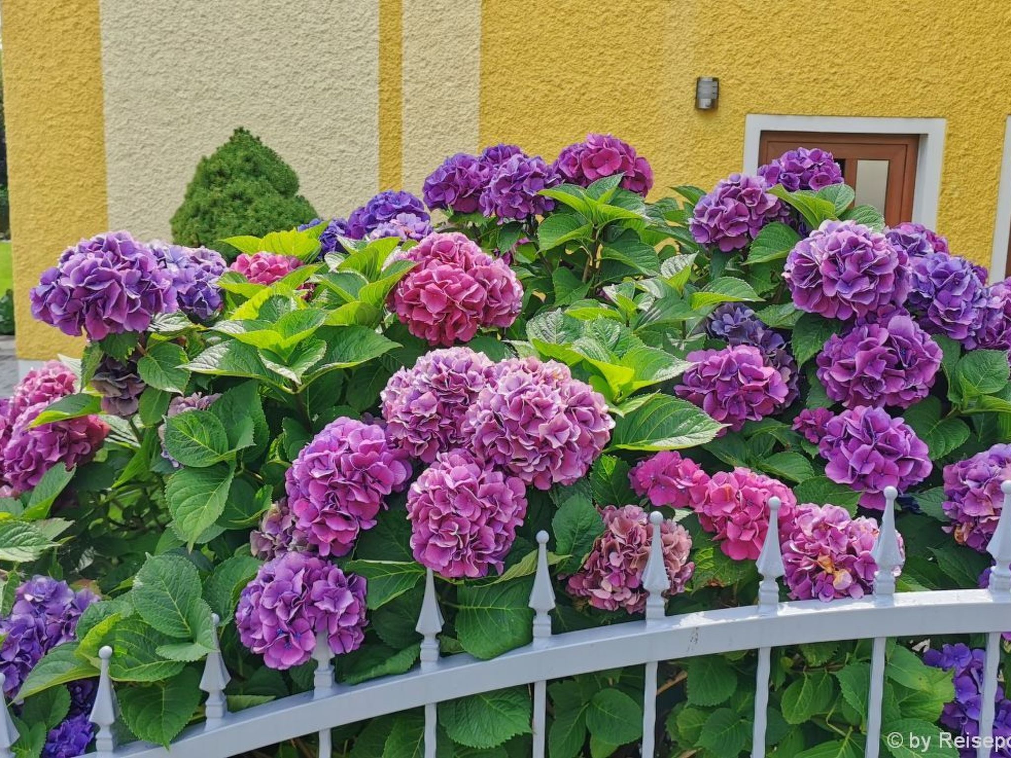 Komfortable Ferienwohnung mit Garten und Grill-Binnen
