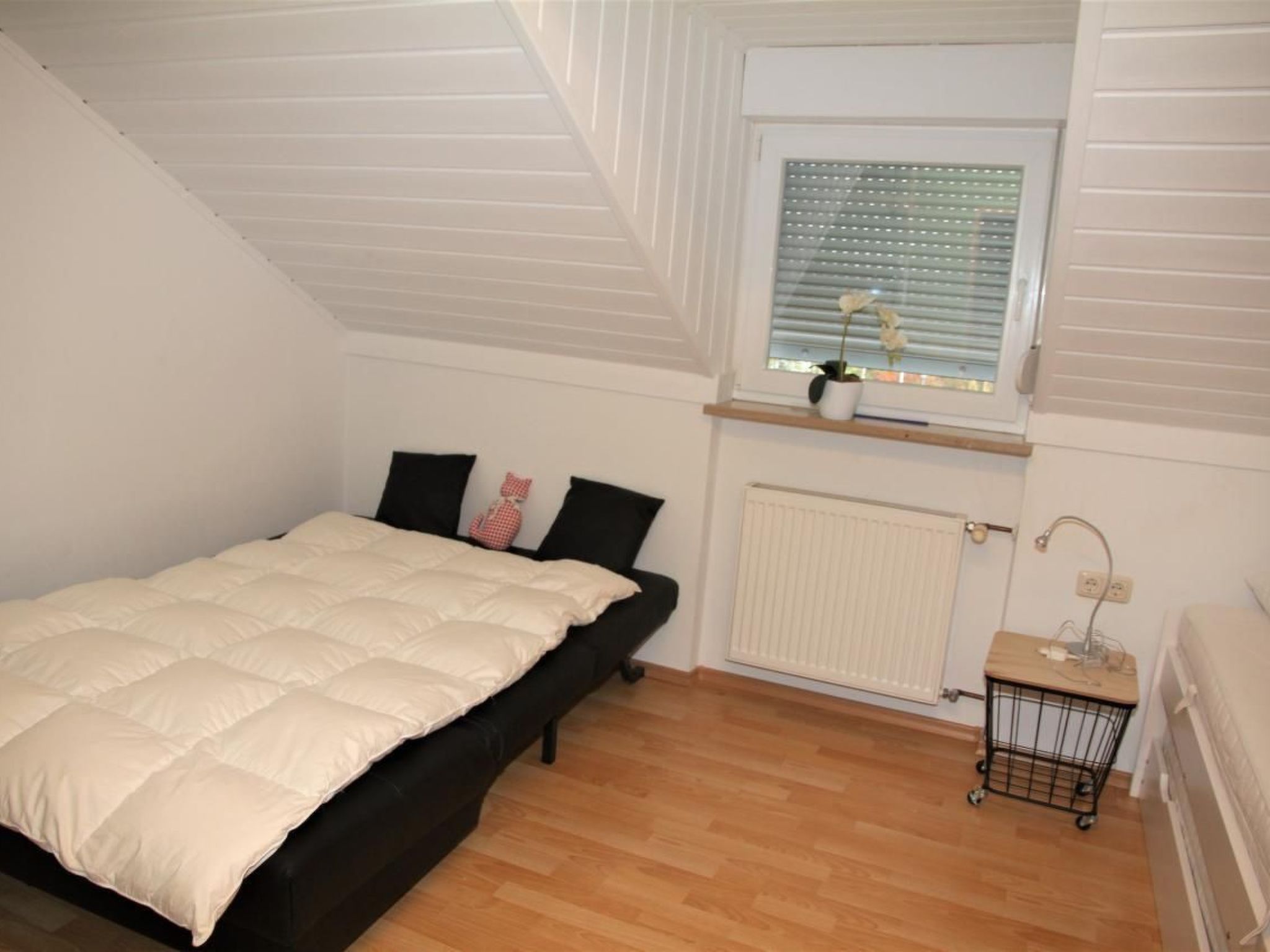 Livi-Image-tags.info