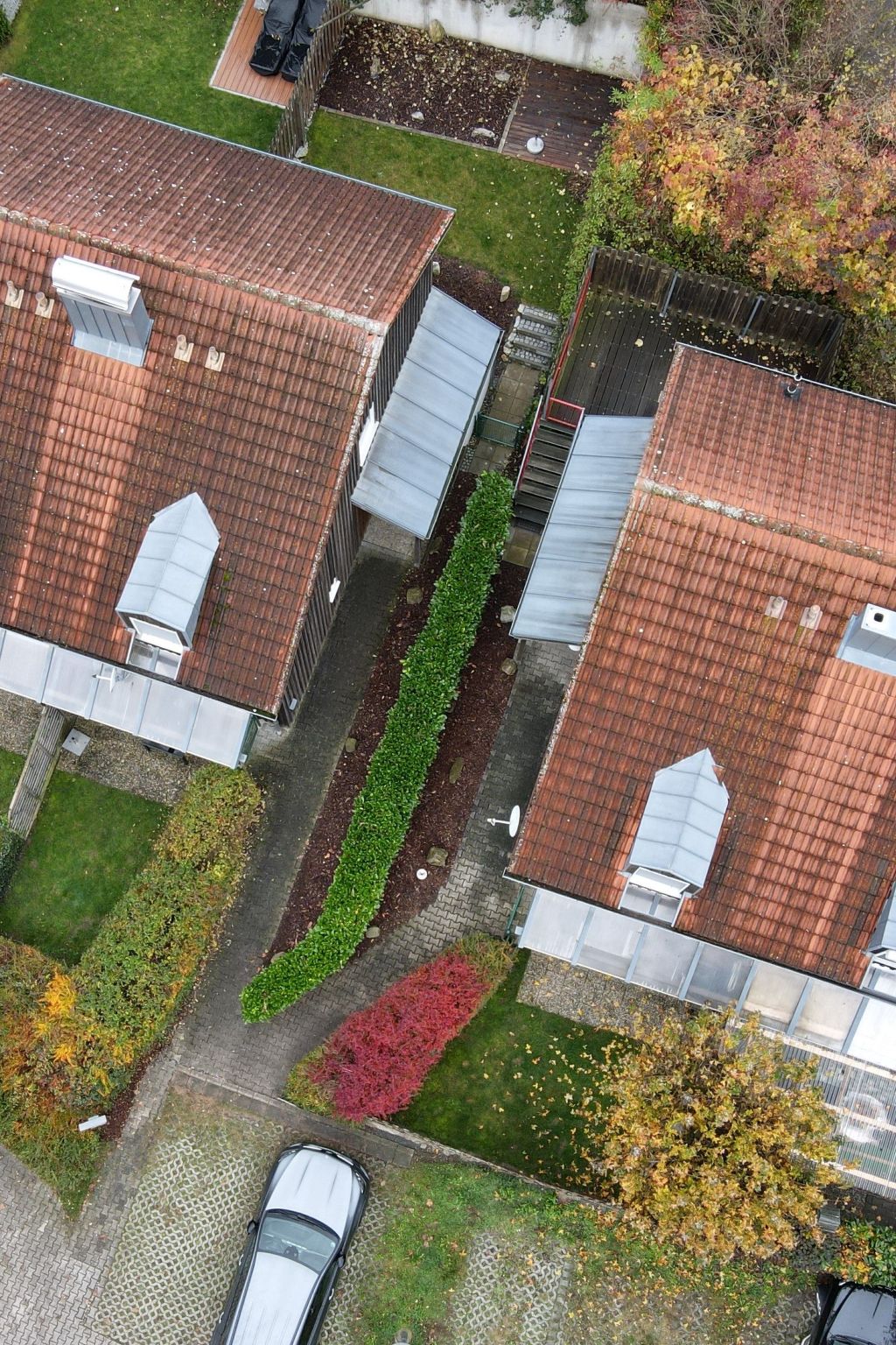 Livi-Image-tags.info