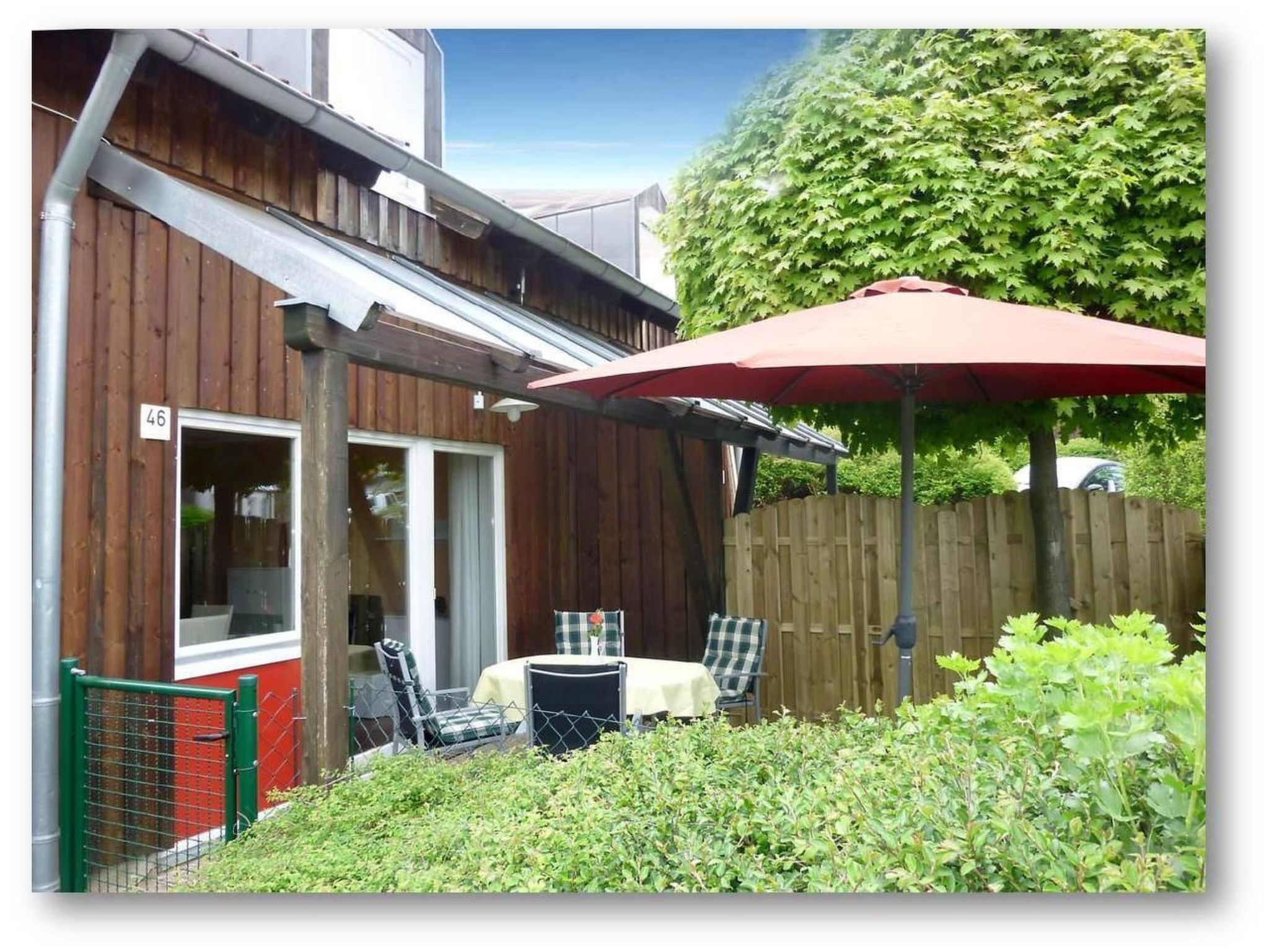 Livi-Image-tags.info