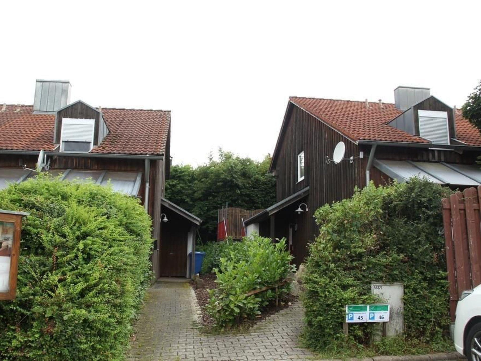 Livi-Image-tags.info