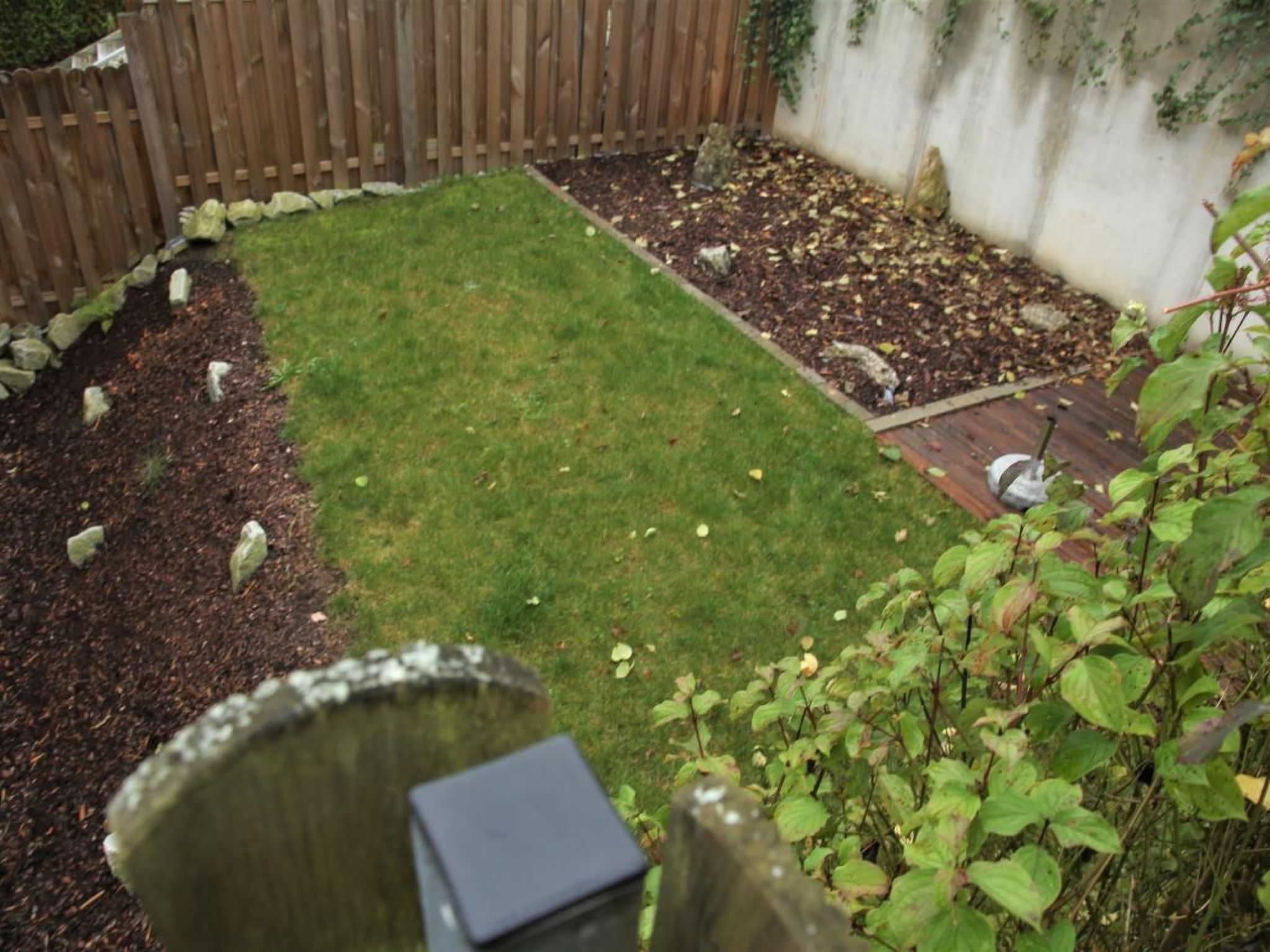 Livi-Image-tags.info