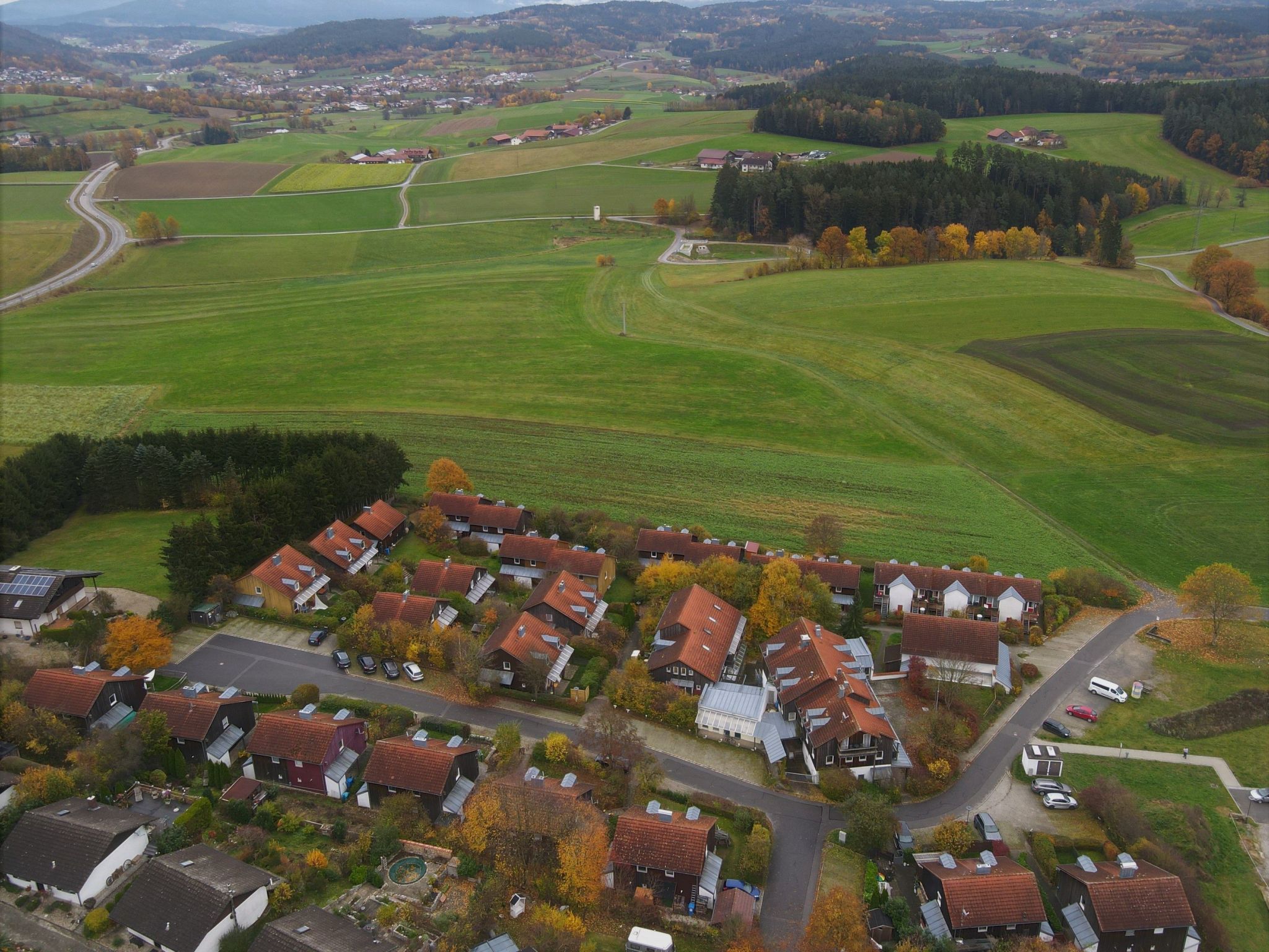 Livi-Image-tags.info