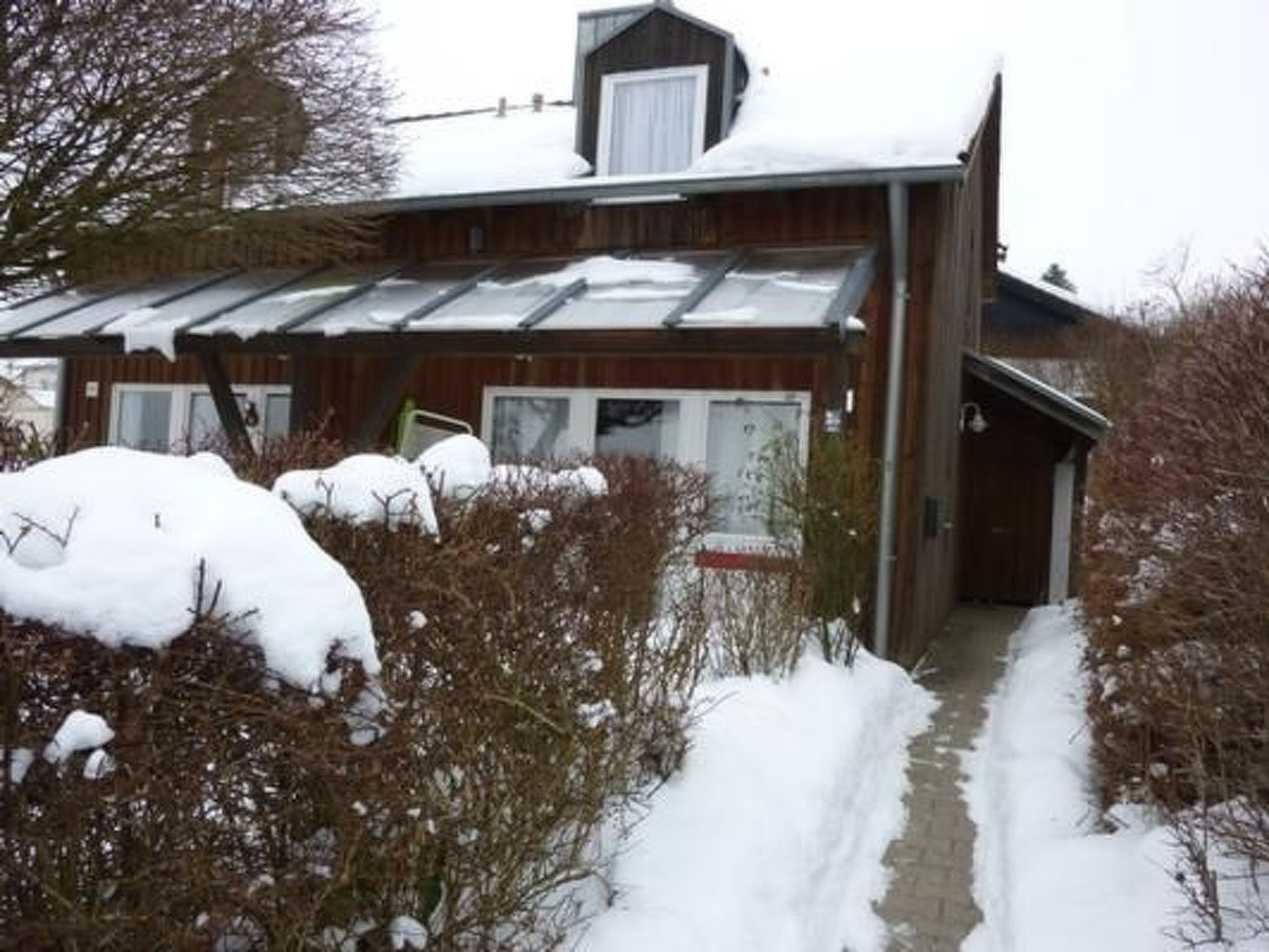 Livi-Image-tags.info