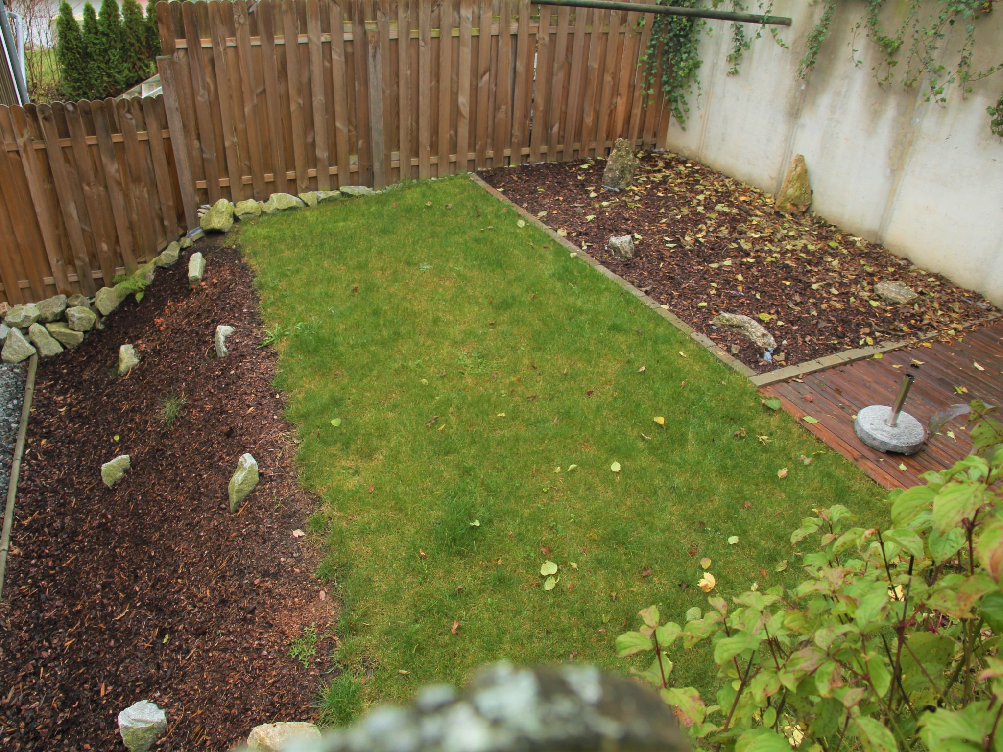 Livi-Image-tags.info