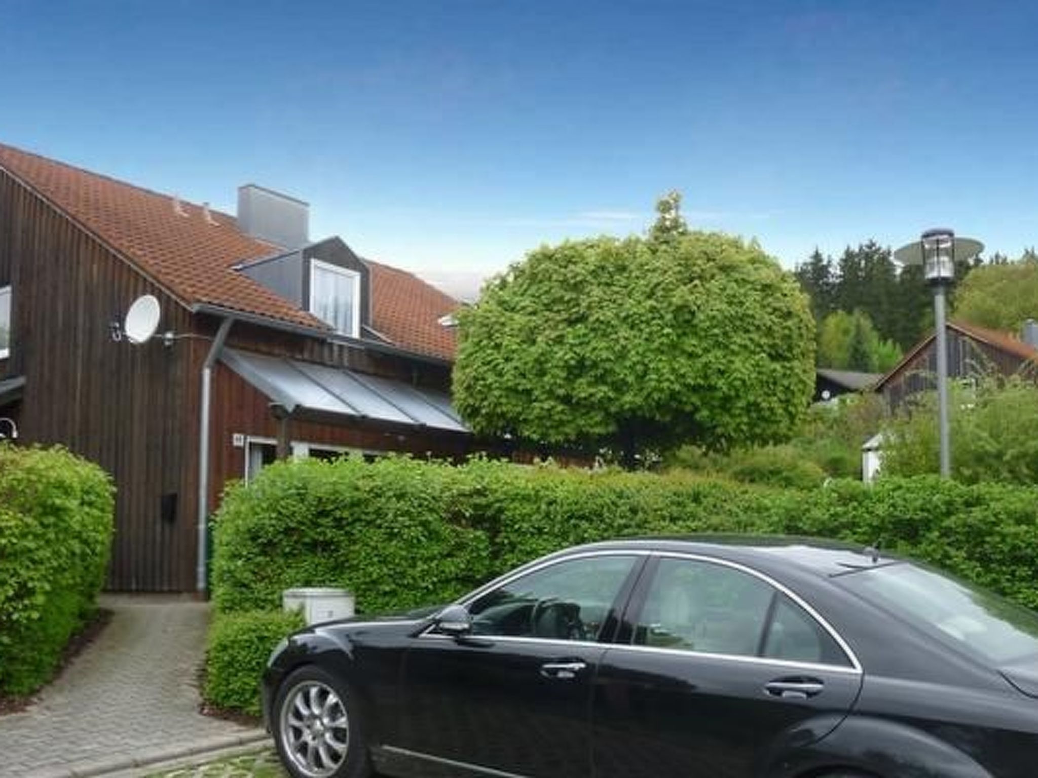 Adele - Allergiker geeignet-Image-tags.info