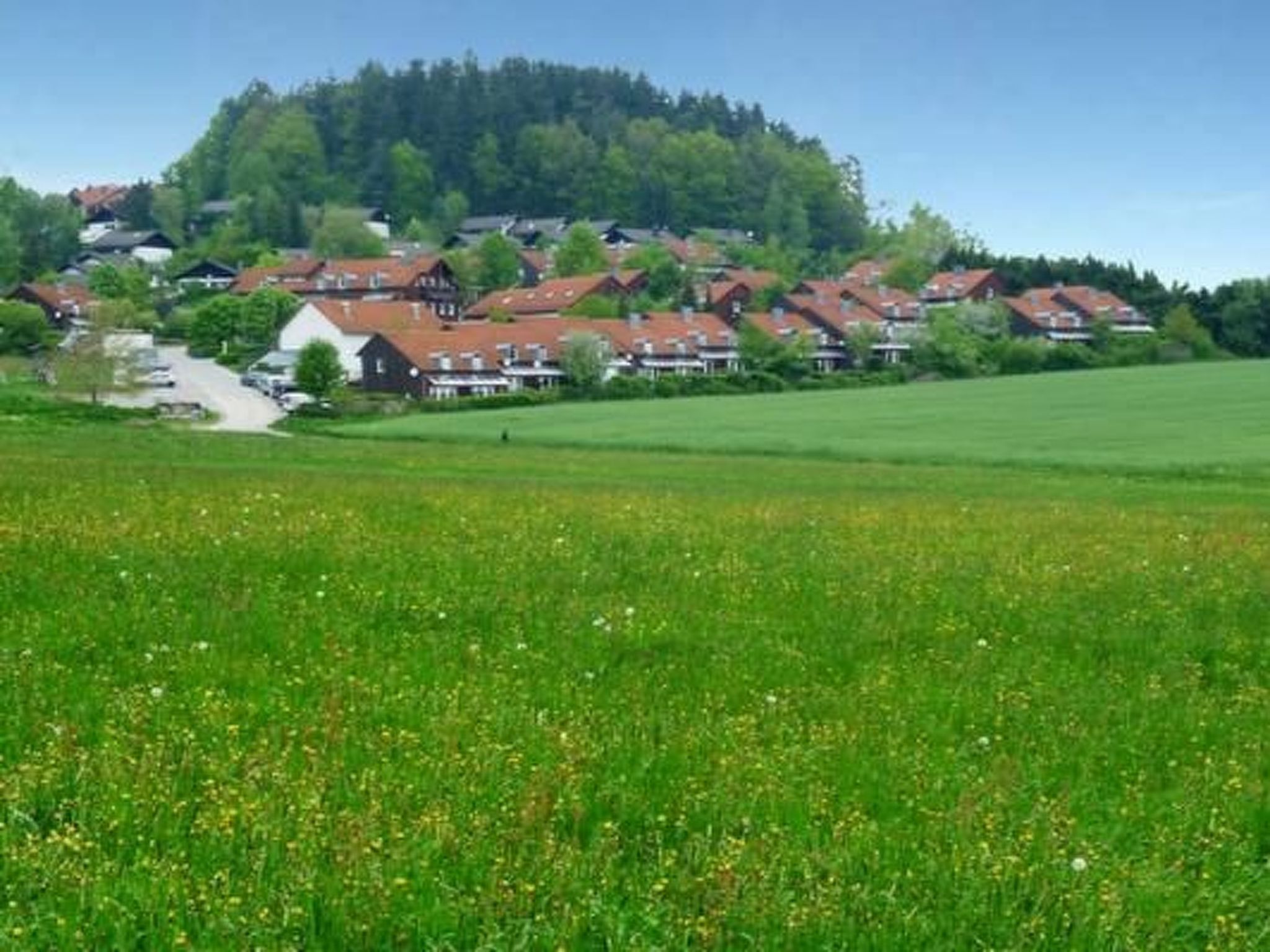 Adele - Allergiker geeignet-Image-tags.info