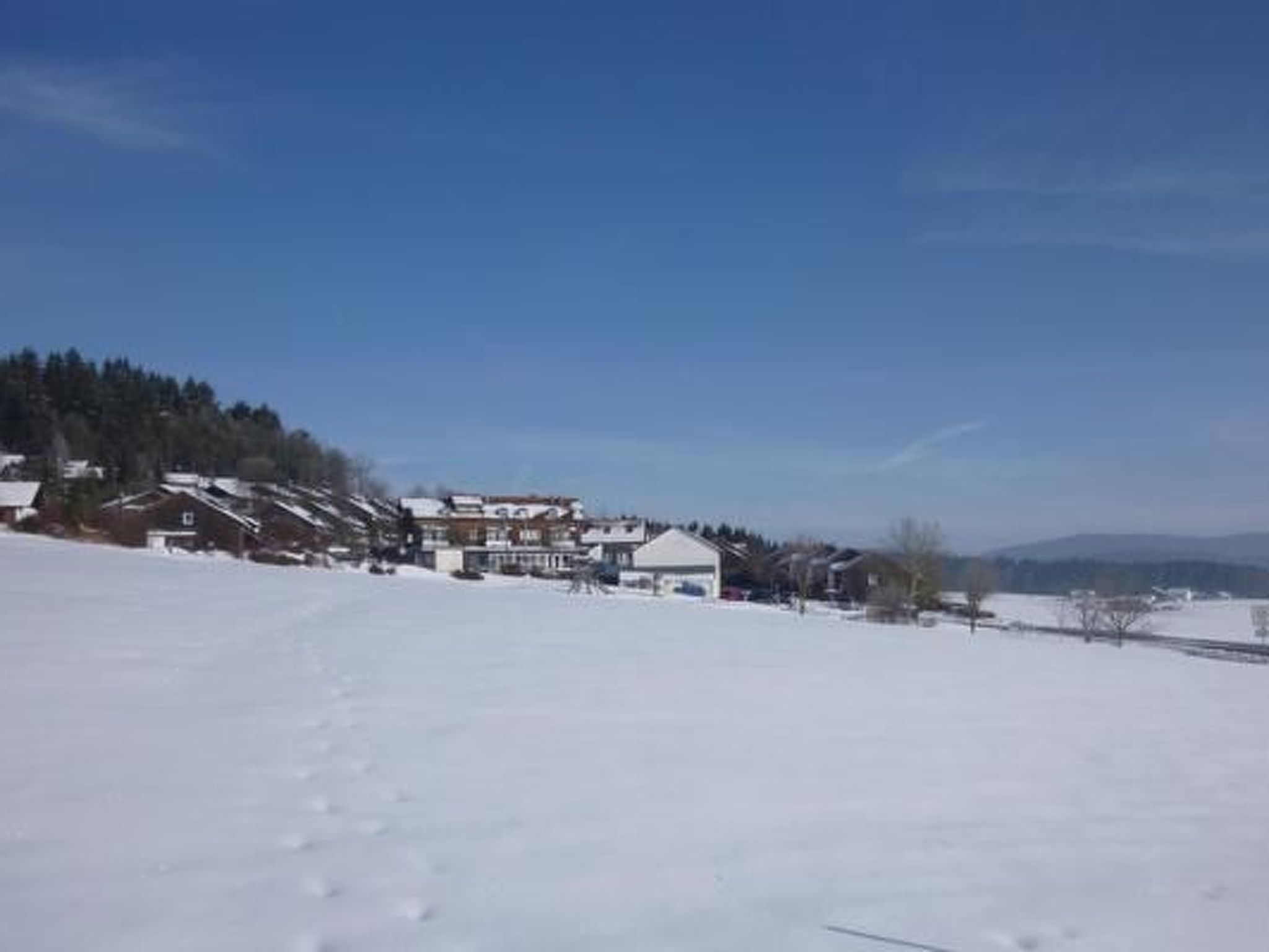 Adele - Allergiker geeignet-Image-tags.info