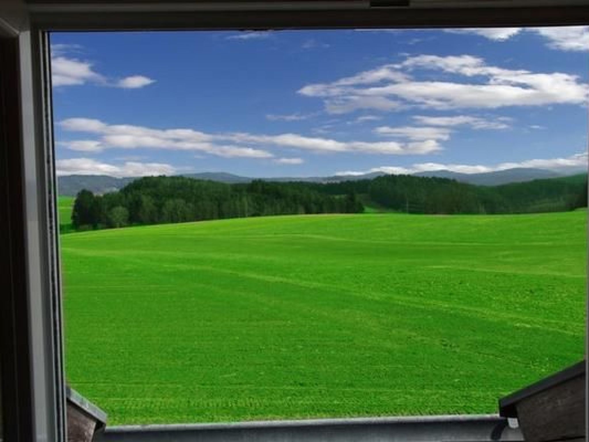 Appartement in Zandt mit Grill-Image-tags.info