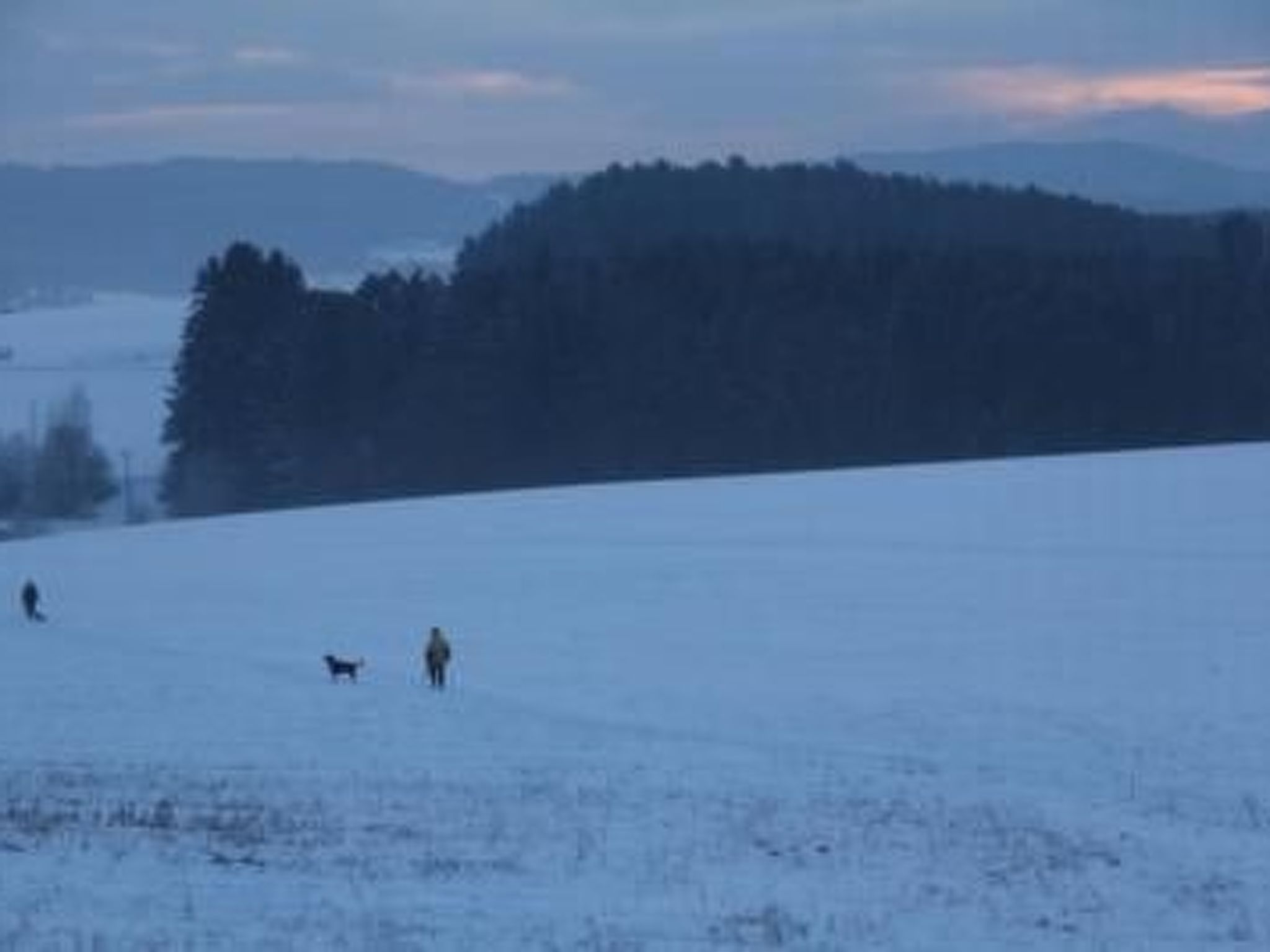 Appartement in Zandt mit Grill-Image-tags.info