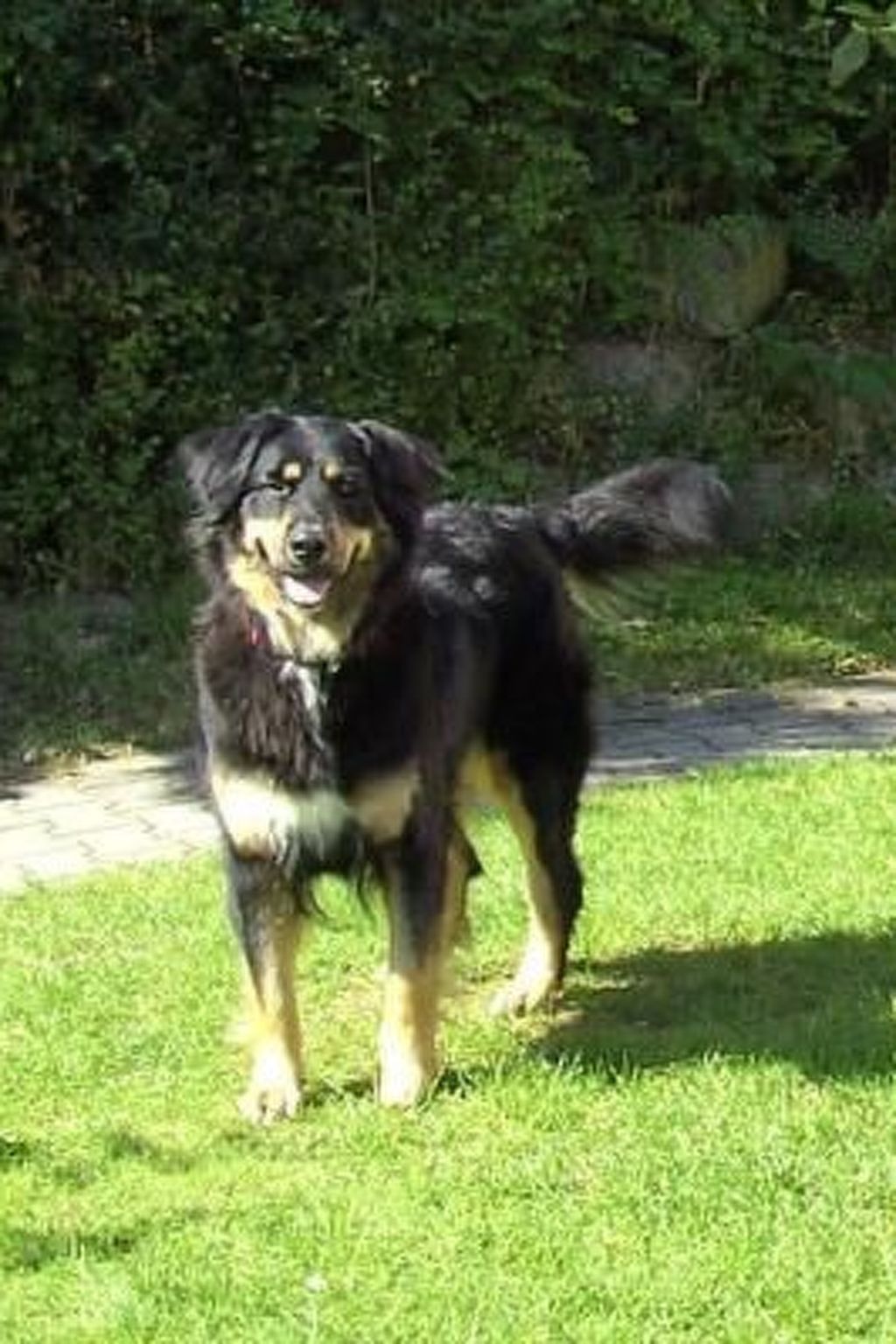 In Zandt mit Grill, Garten und Terrasse