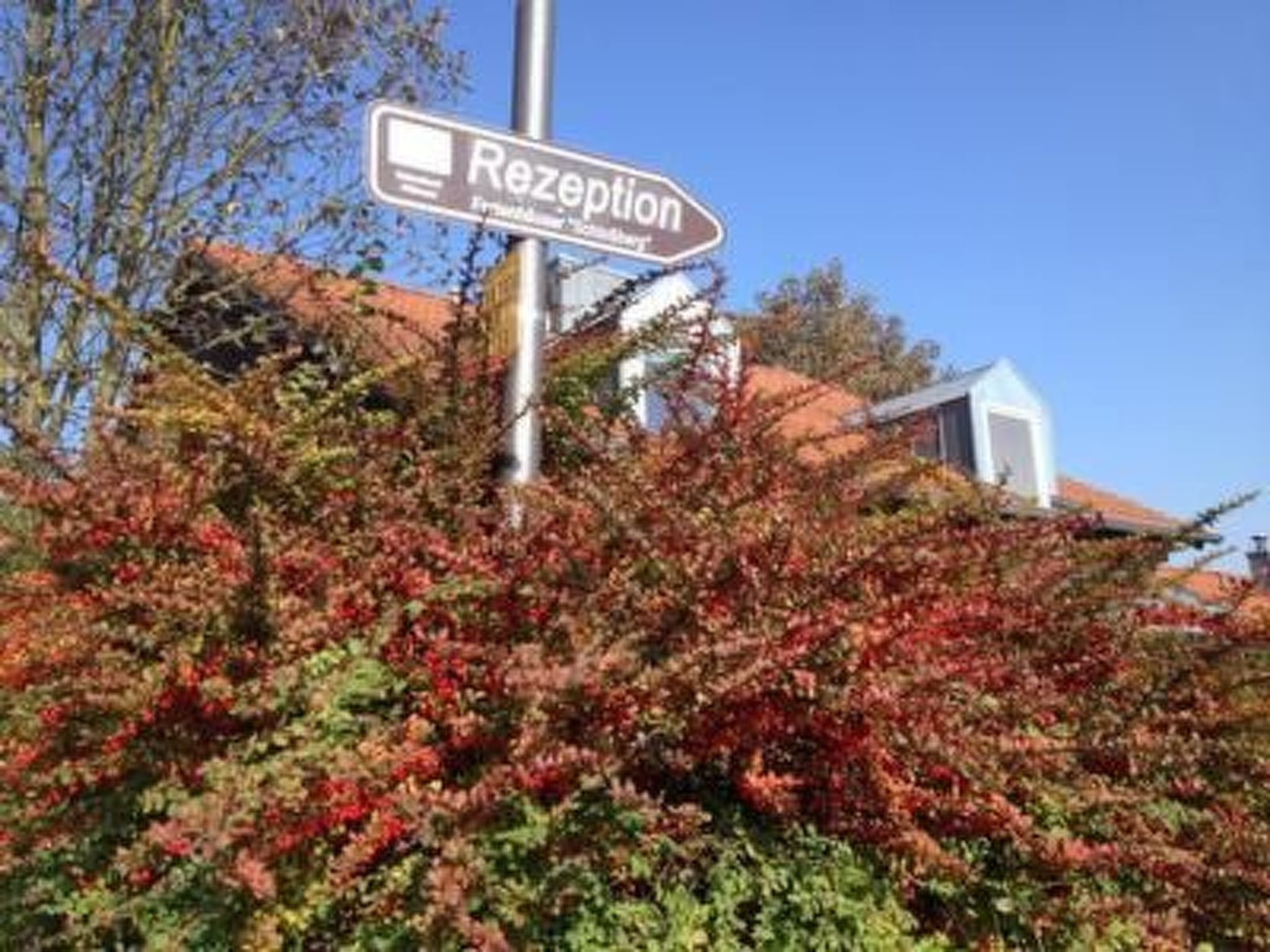 In Zandt mit Grill, Garten und Terrasse-Image-tags.info