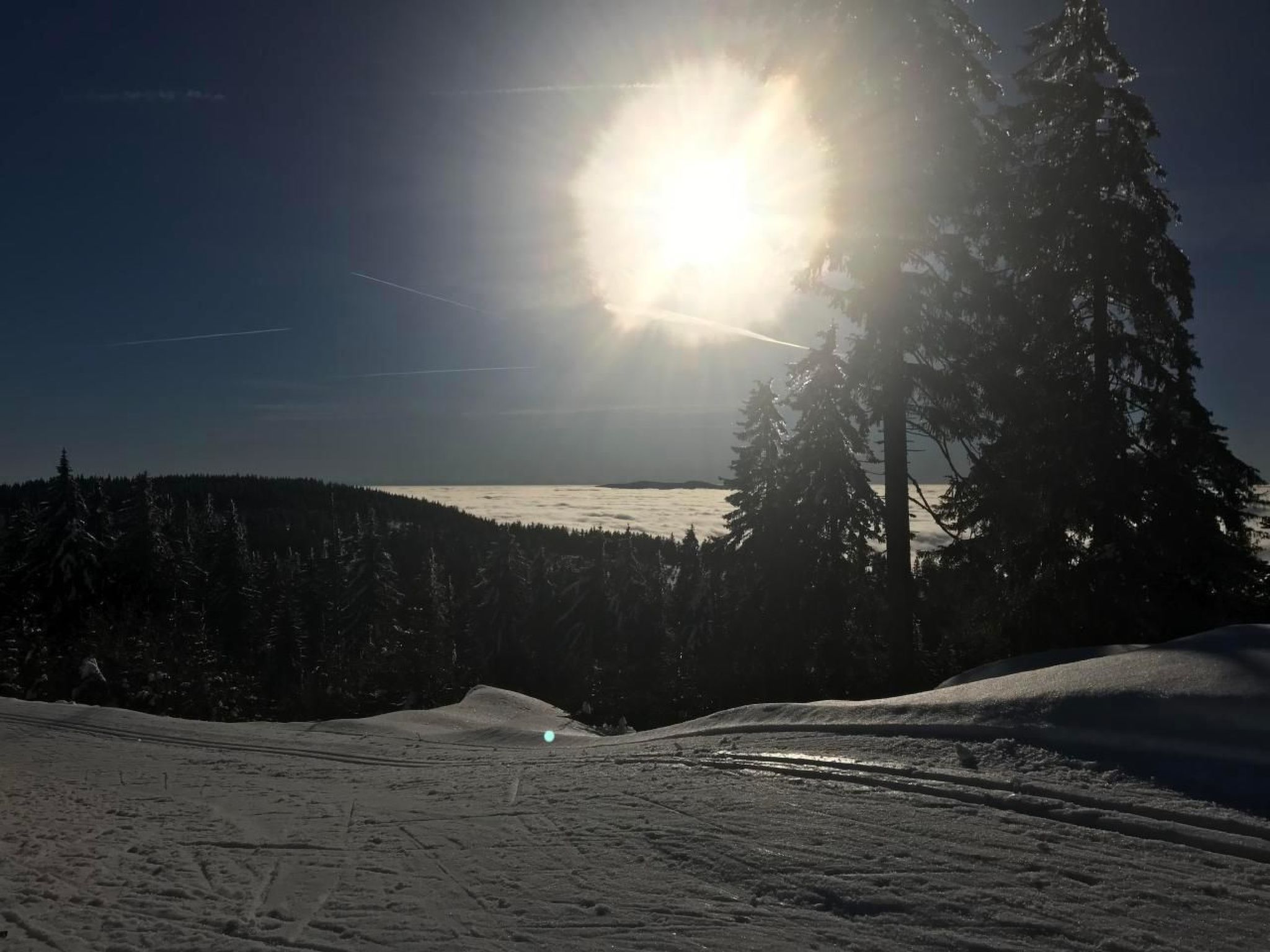 in Zandt mit Grill, Garten und Terrasse