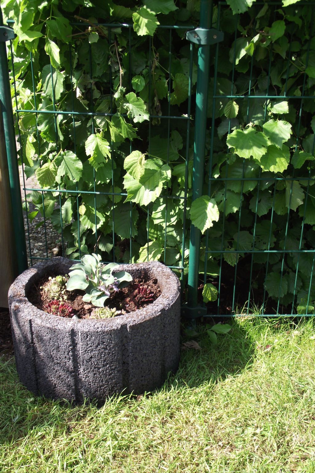 Waldhäuschen Zandt-Binnen