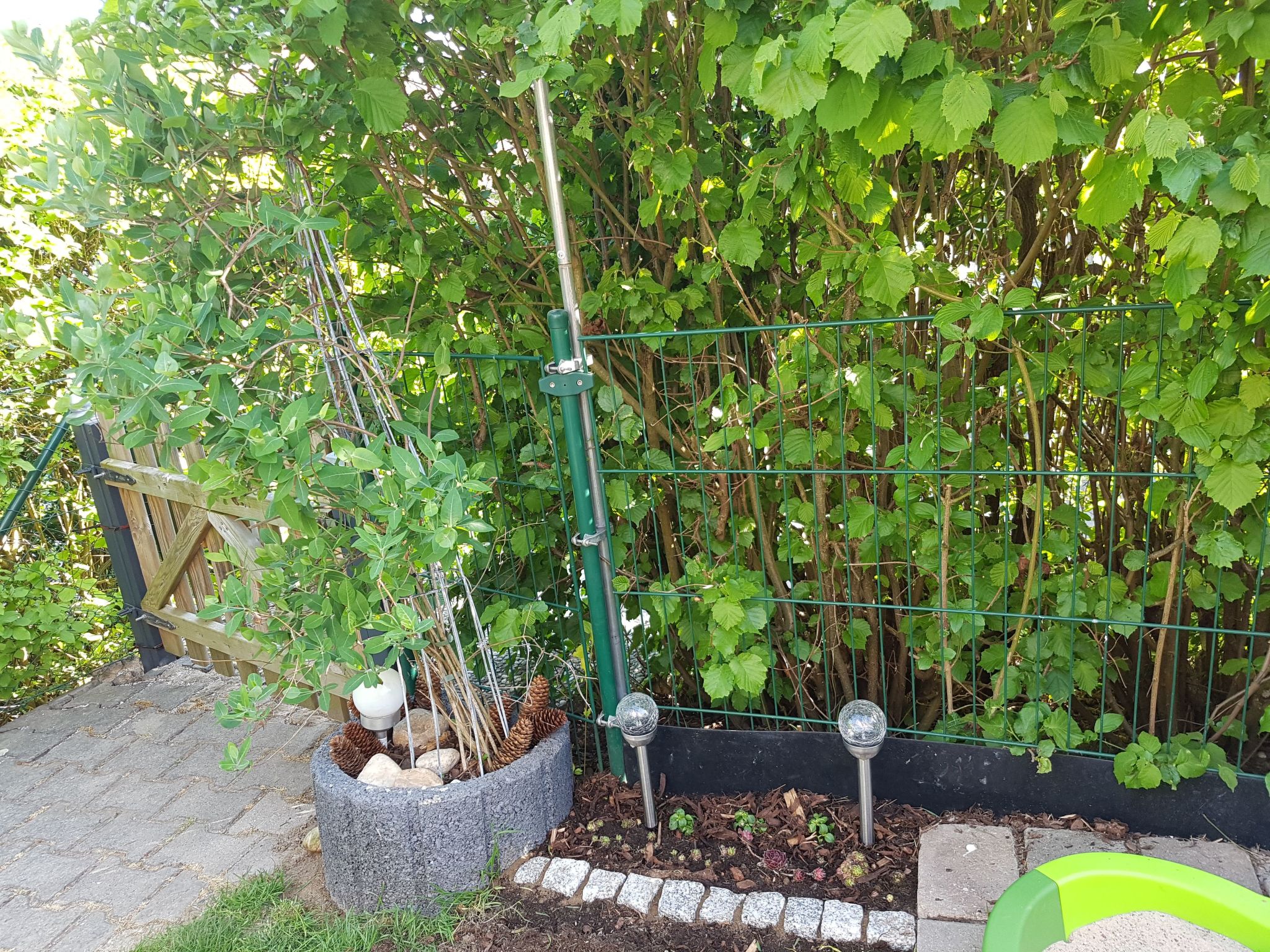 Waldhäuschen Zandt-Binnen