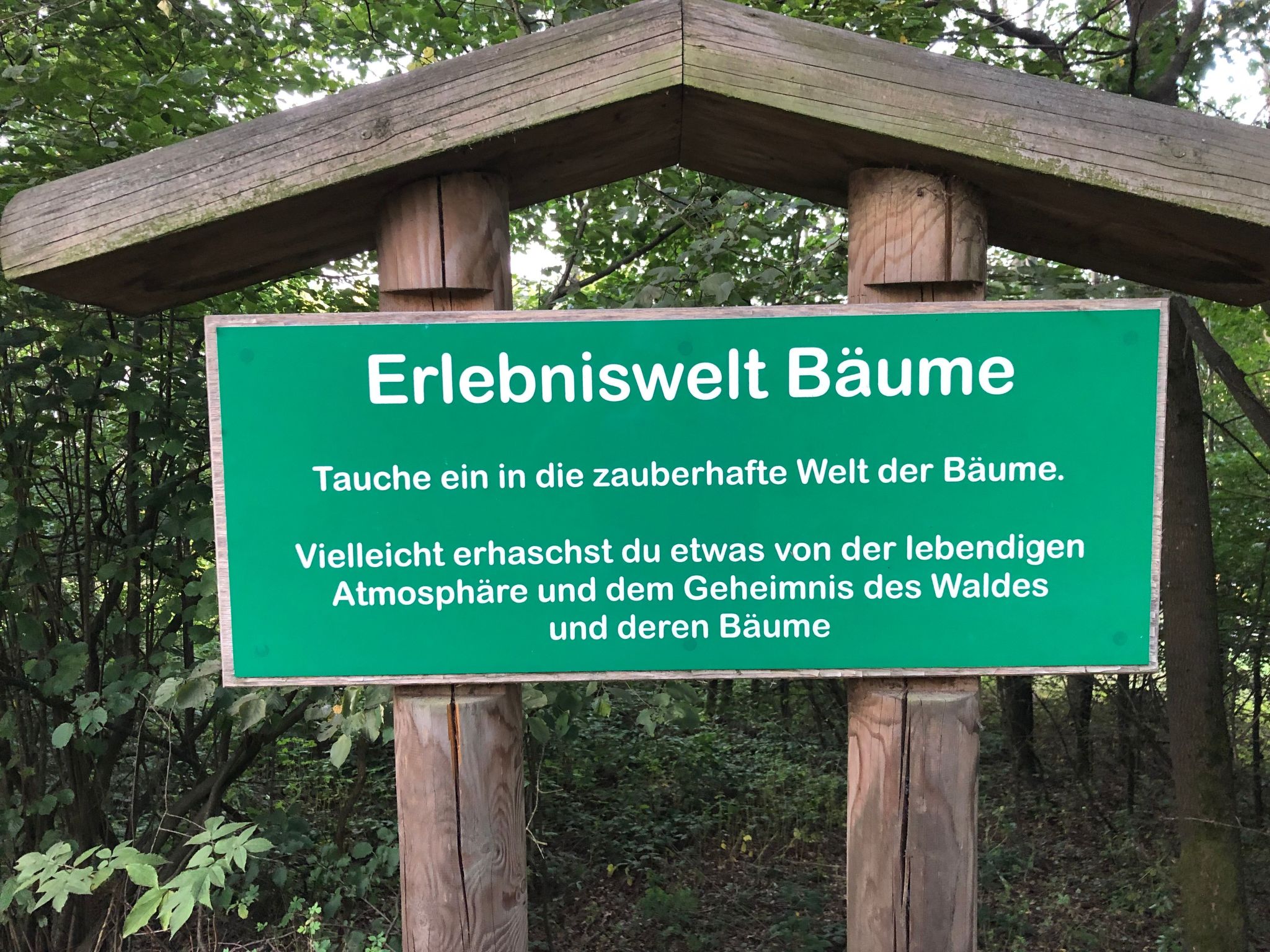 Gemütliche Wohnung in Zandt mit Möbliertem Balkon-Inside