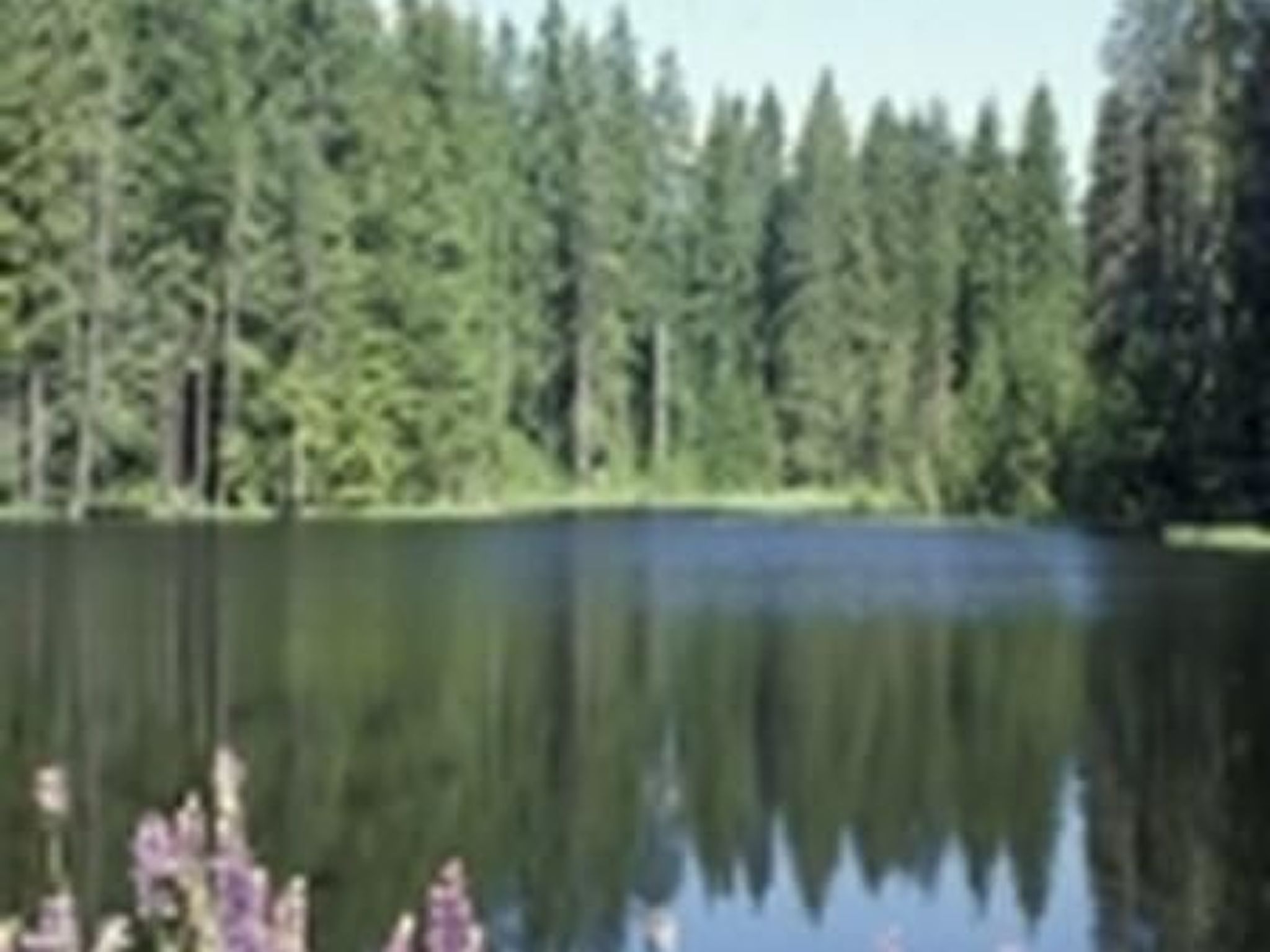 Wohnung mit möblierter Terrasse - barrierefrei-Inside