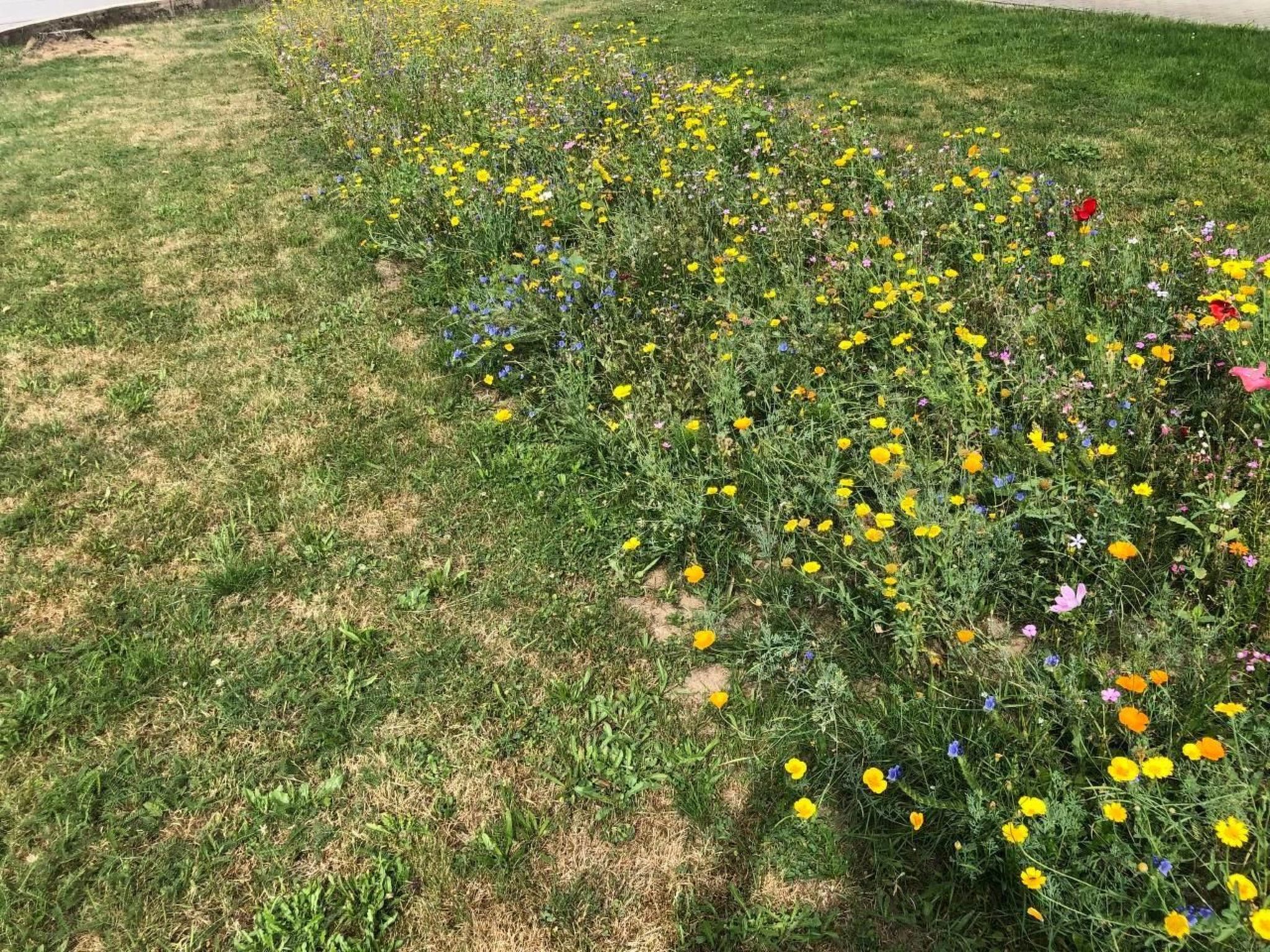 Schöne Ferienwohnung in Zandt mit Grill und Garten-Inside