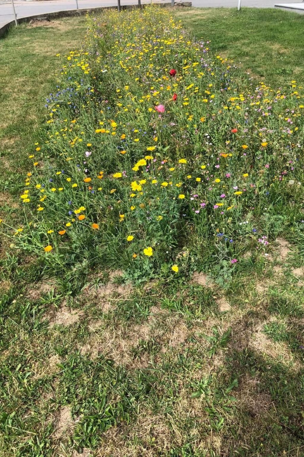 Schöne Ferienwohnung in Zandt mit Grill und Garten-Inside