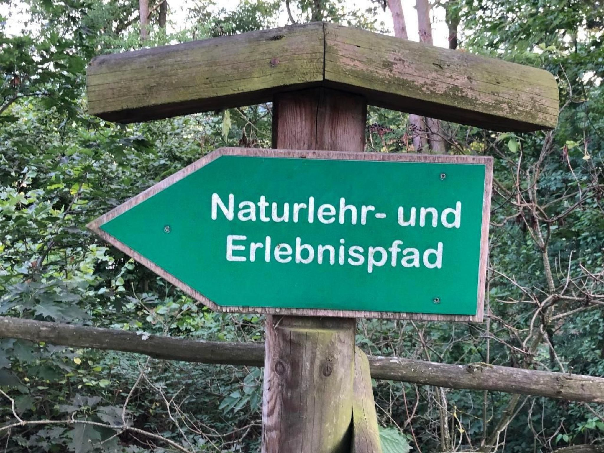 Schöne Ferienwohnung in Zandt mit Grill und Garten-Inside