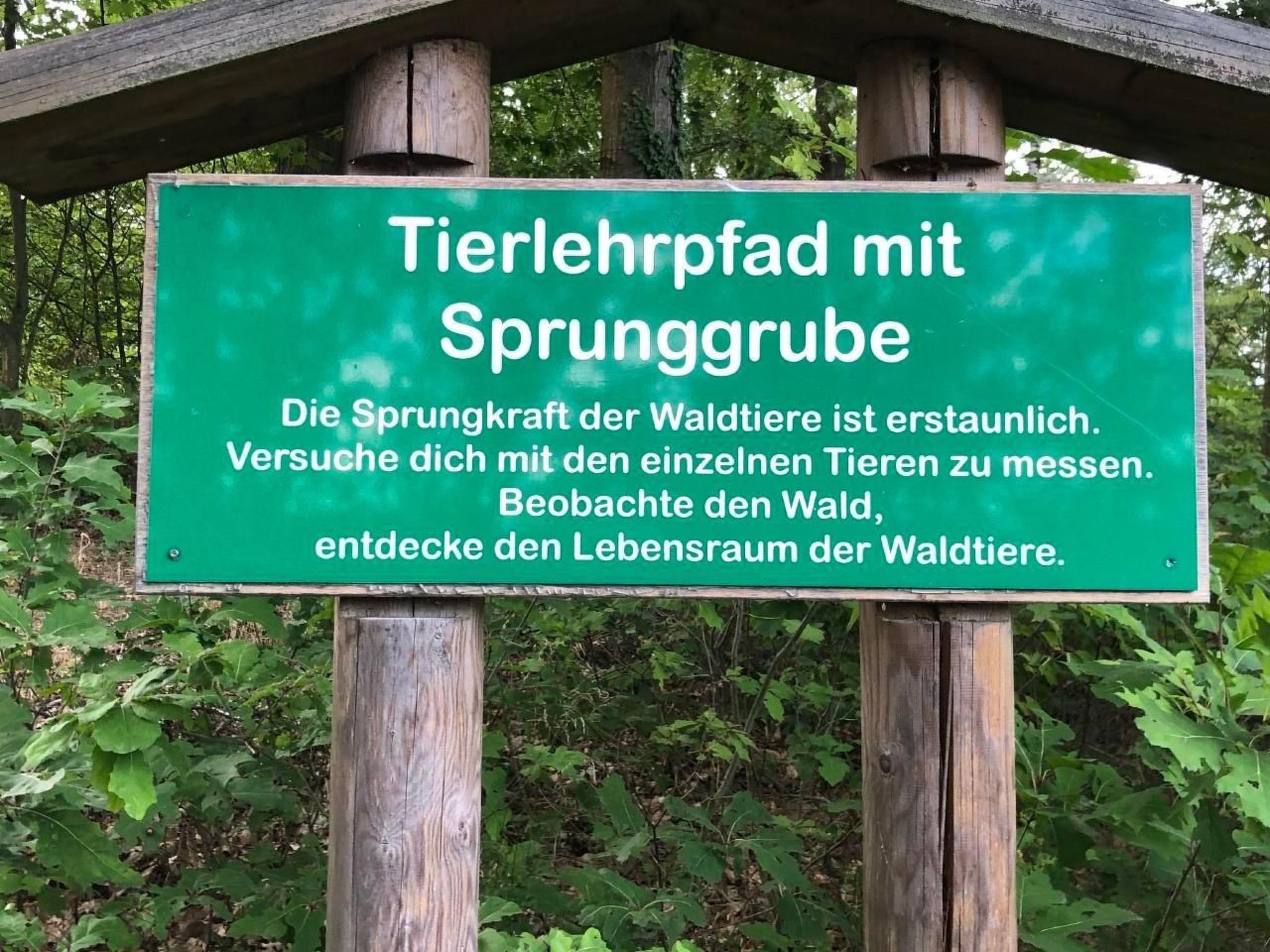 Schöne Ferienwohnung in Zandt mit Grill und Garten-Inside