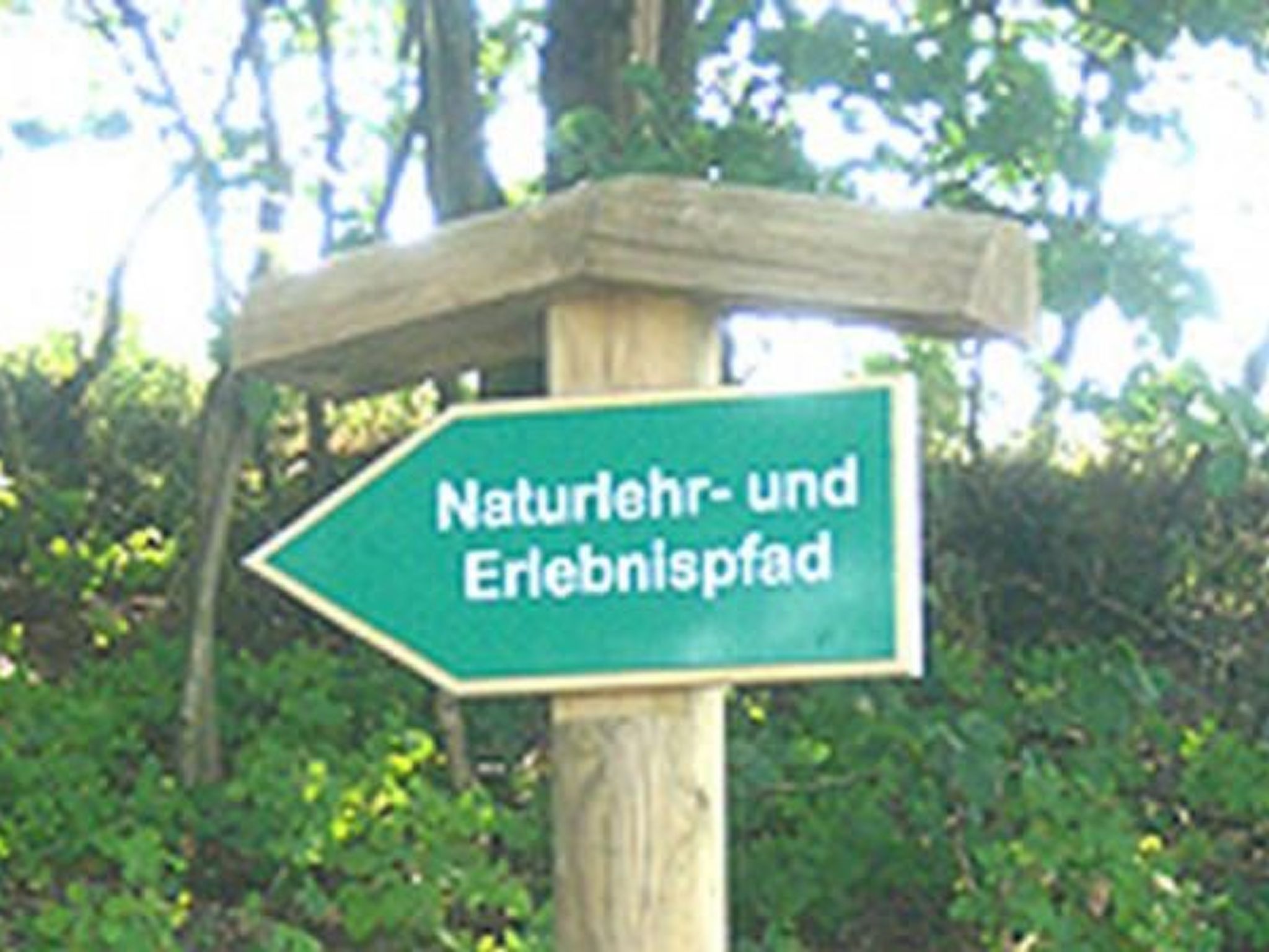 Schöne Ferienwohnung in Zandt mit Grill und Garten-Inside