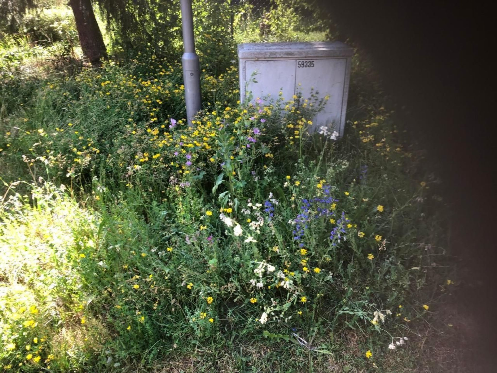 Schöne Ferienwohnung in Zandt mit Grill und Garten-Inside