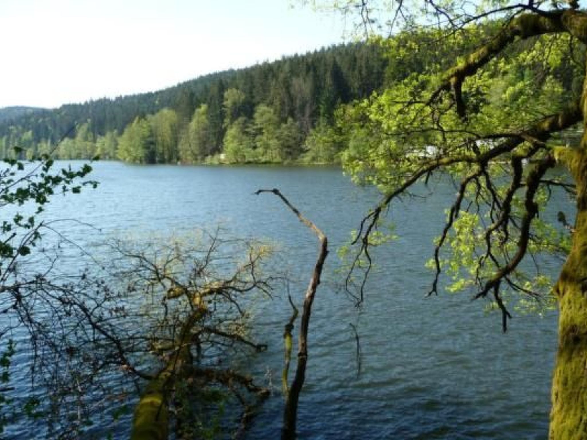 Haus " Fernblick "-Binnen