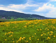 Vacation home Am Hohen Bogen