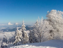 Vacation home Am Hohen Bogen