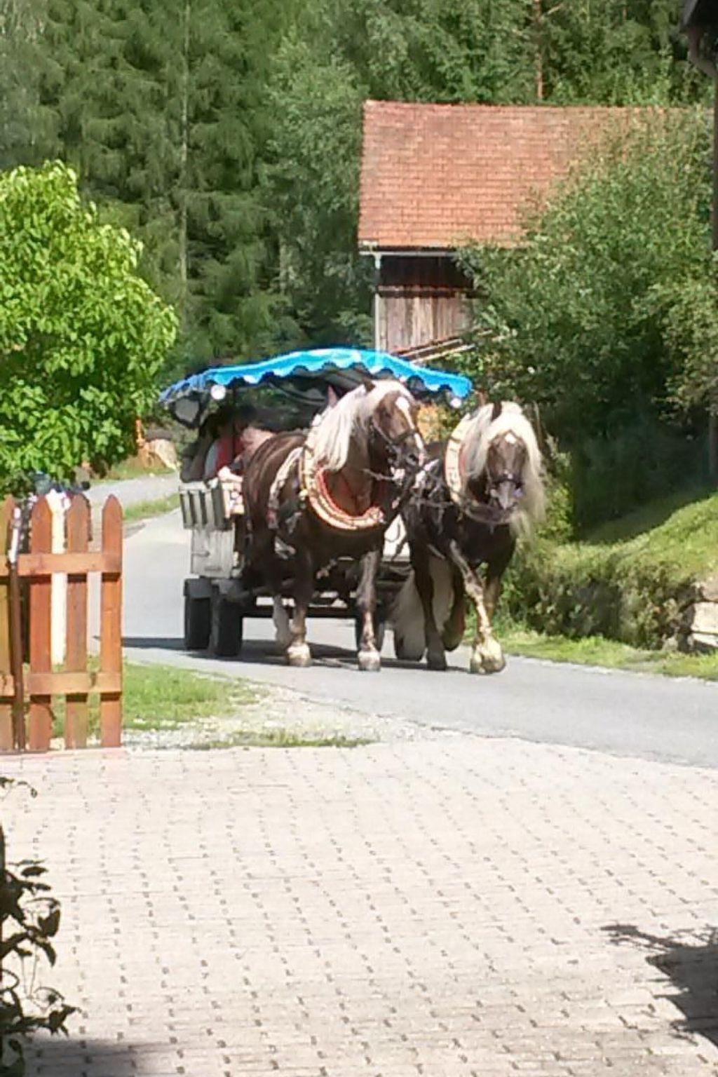 FeWo Steinbeisser-Binnen