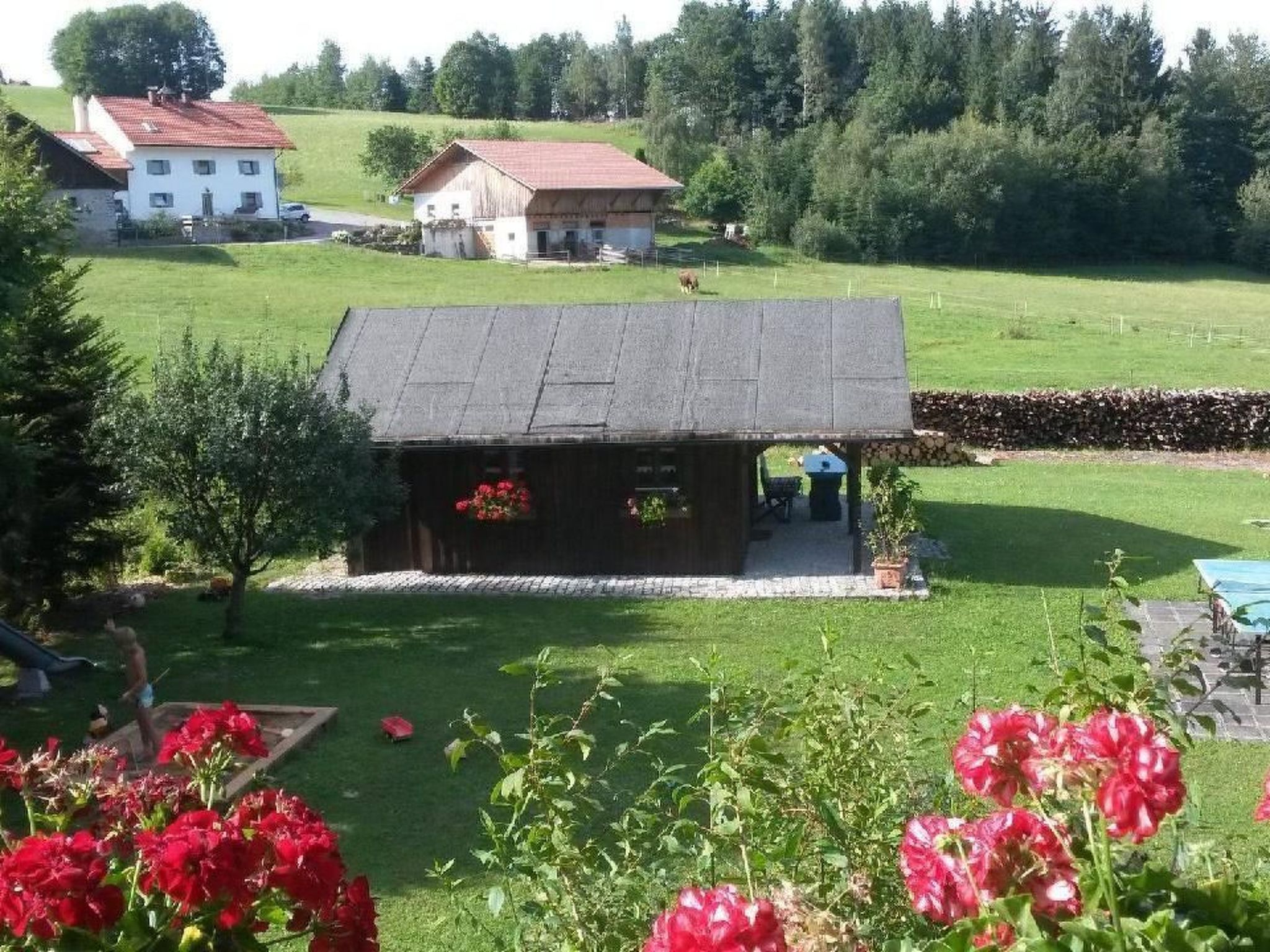 FeWo Steinbeisser-Image-tags.info