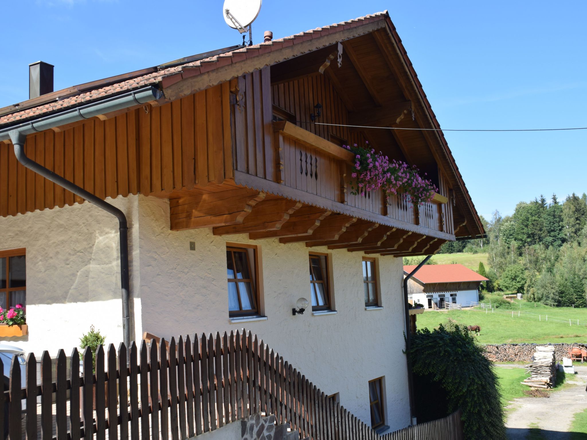 FeWo Steinbeisser-Image-tags.info