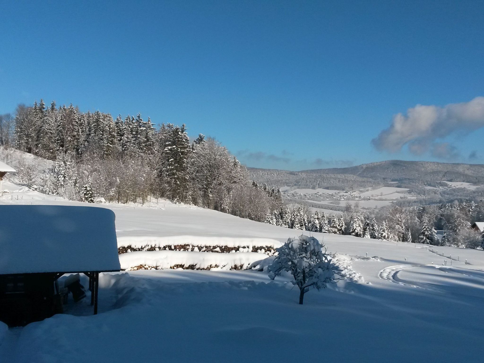 FeWo Steinbeisser-Image-tags.info