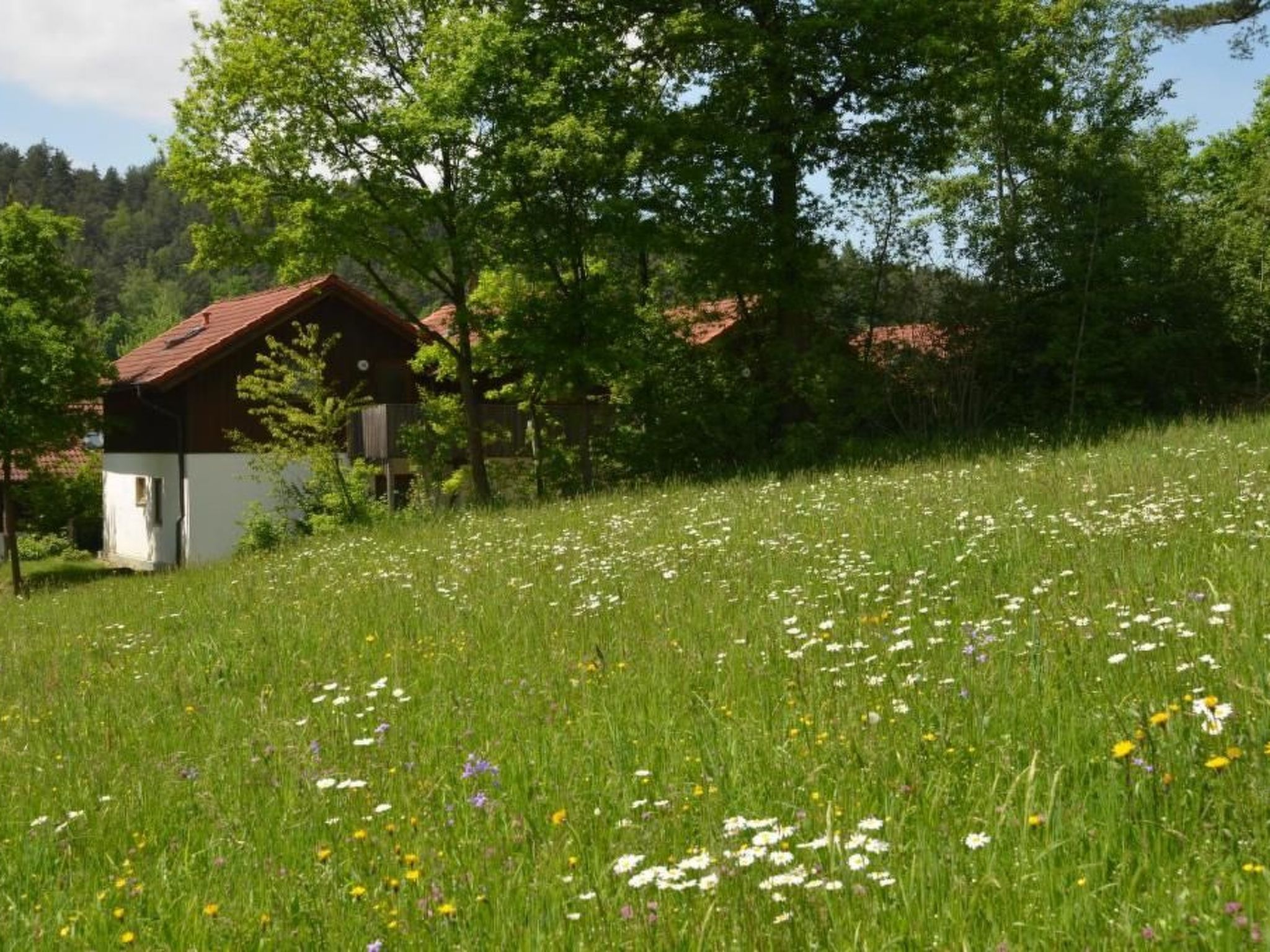 Appartement in Berghäuser mit Sonnigem Balkon-Image-tags.info