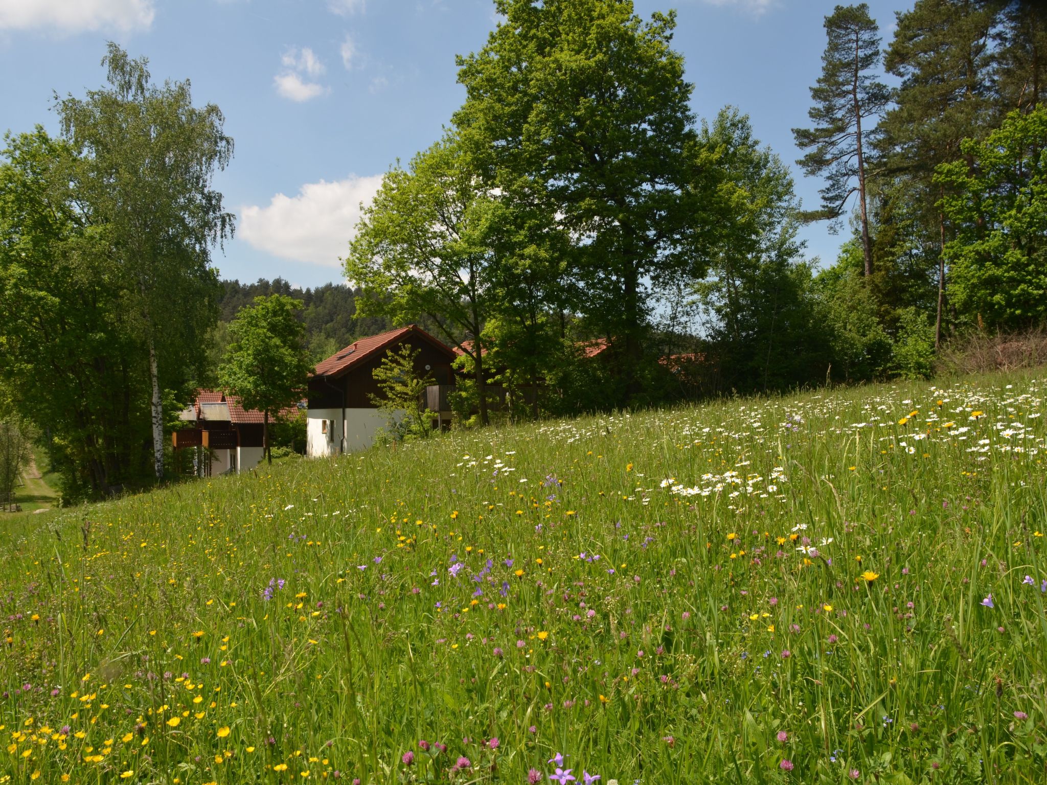 Gemütliche Wohnung in Berghäuser mit Kleinem Garten-Image-tags.info