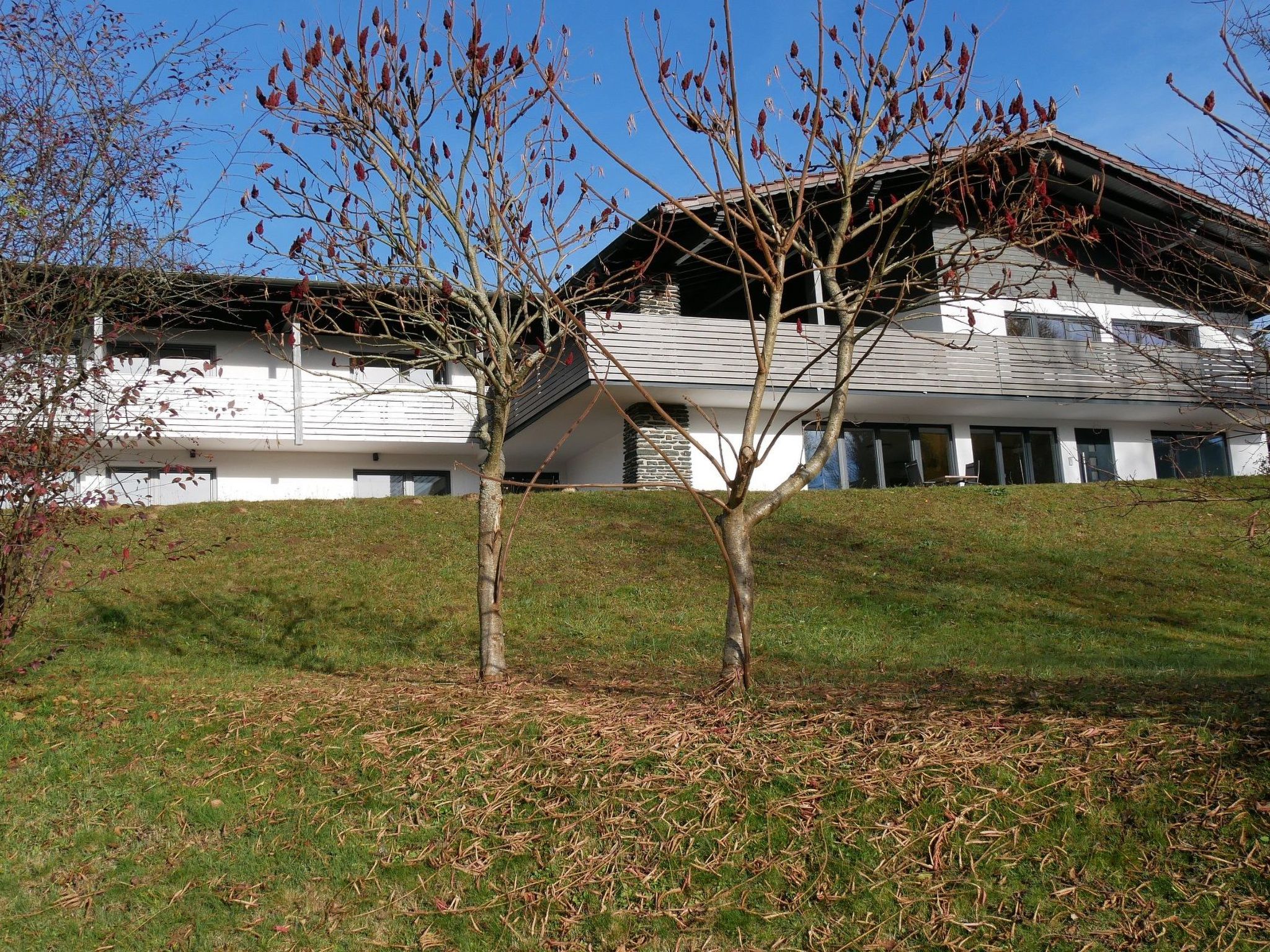 BayVista mit Bergblick-Image-tags.info