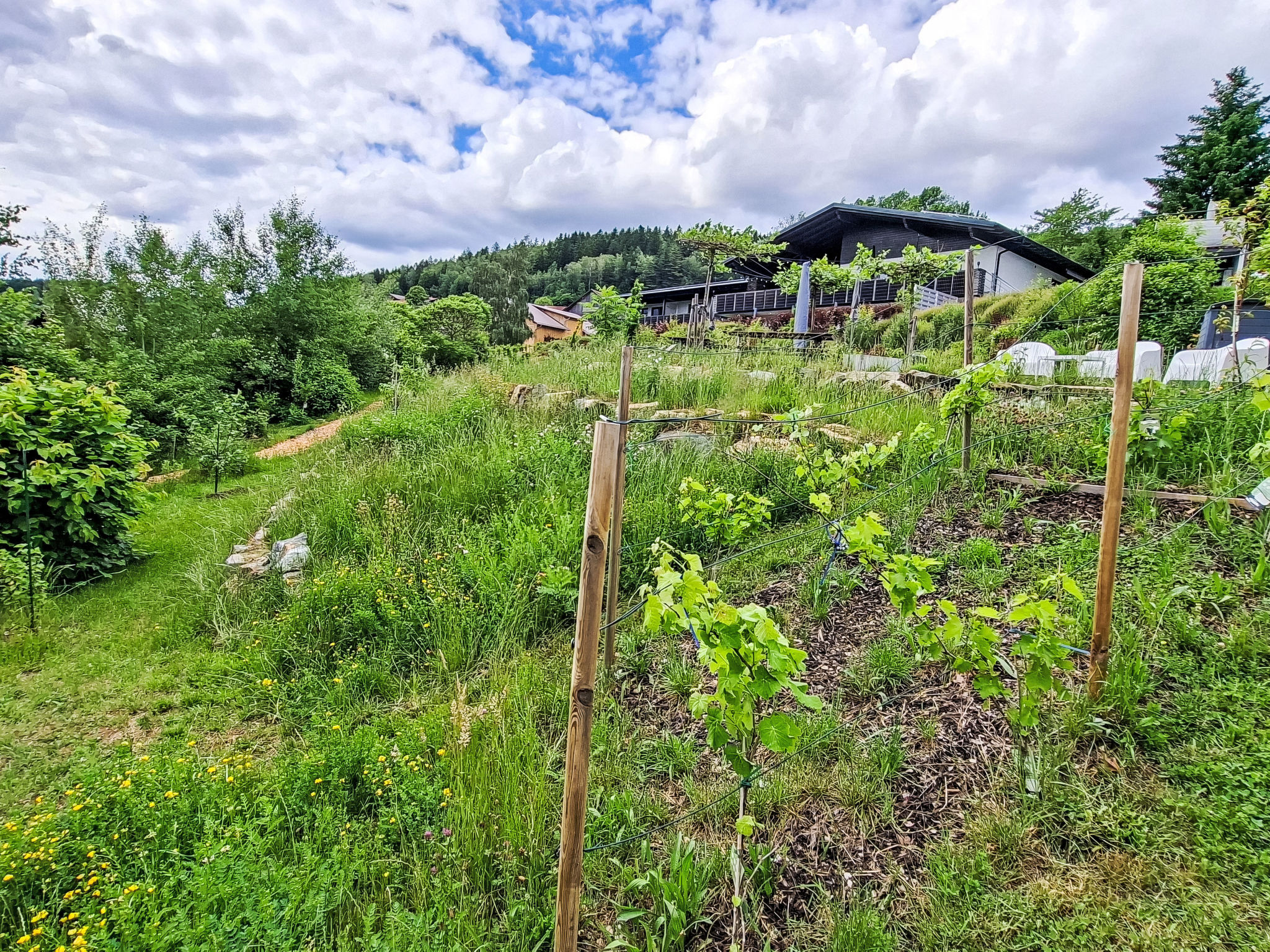 BayVista, die Bayerwald Lodge mit Bergblick - Buiten