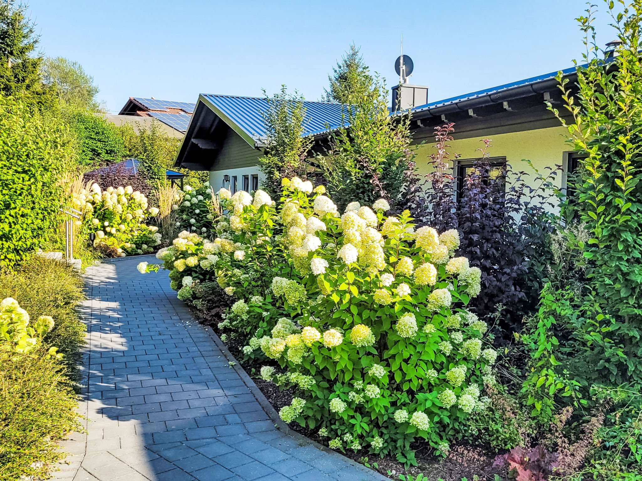 BayVista, die Bayerwald Lodge mit Bergblick - Buiten